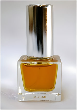 New York Man by En Voyage Perfumes perfume bottle