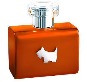 Terrier Orange by Ferrioni perfume bottle