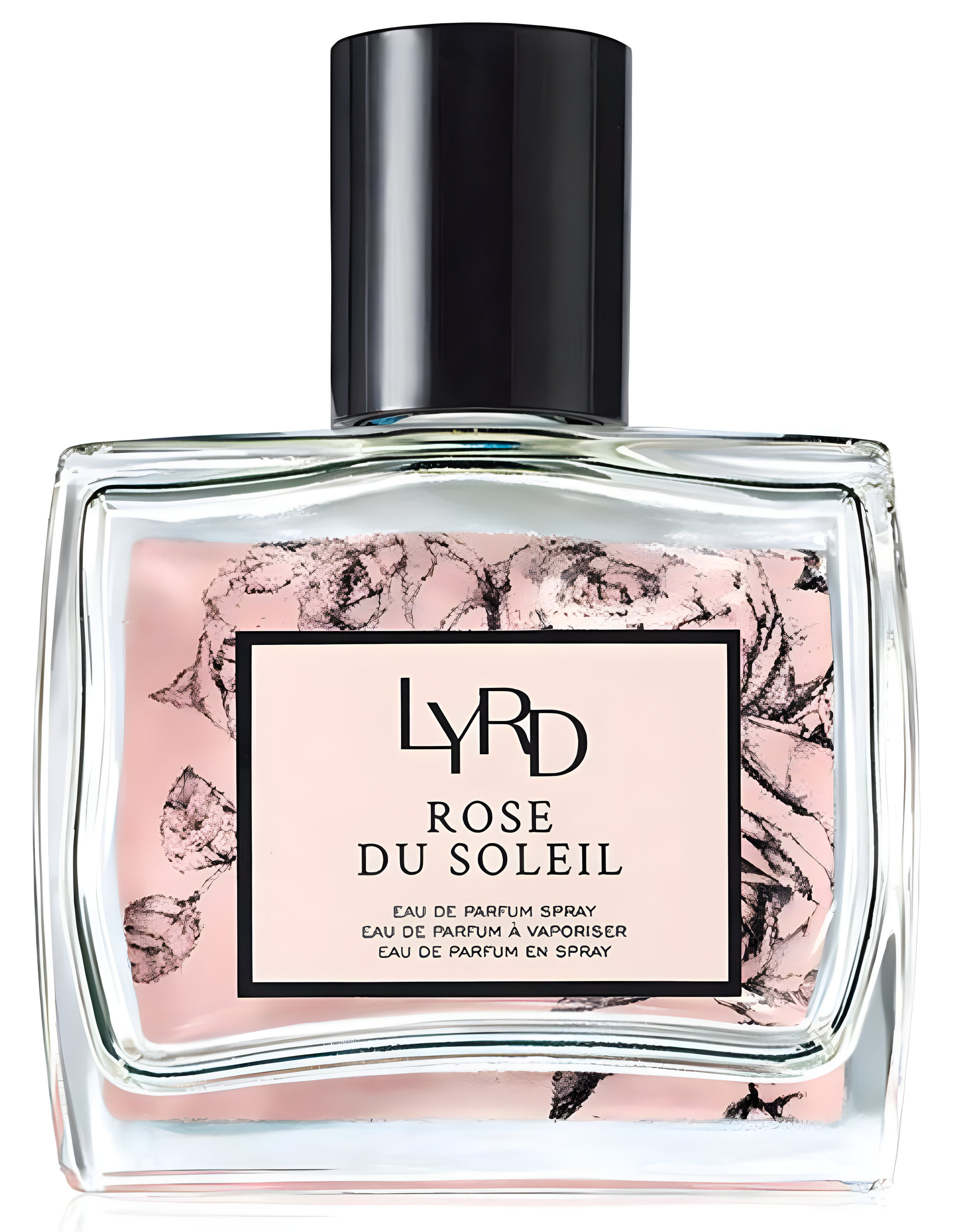 Picture of Rose Du Soleil fragrance