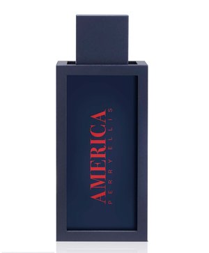 America by Perry Ellis perfume bottle