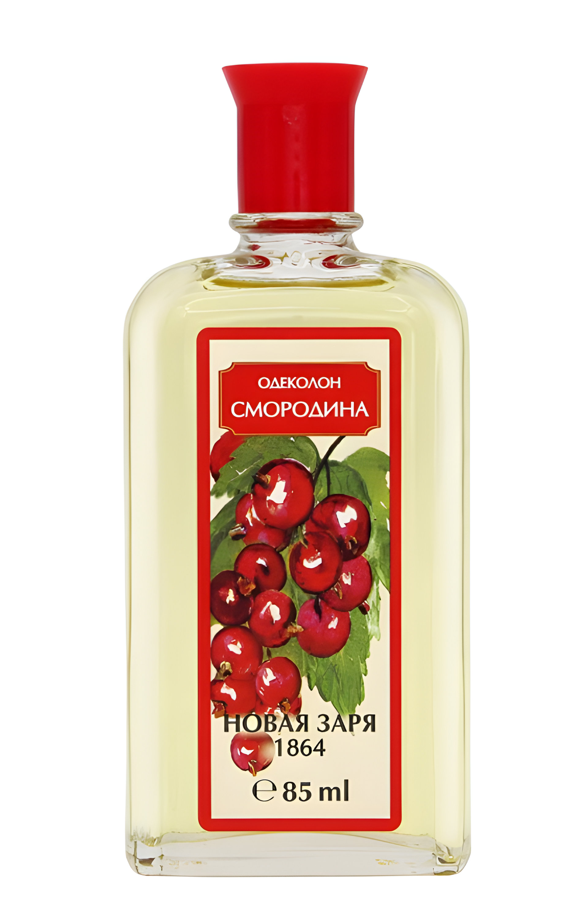Picture of Смородина (Currant) fragrance