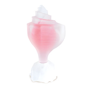Pink Conch by Seajewels perfume bottle