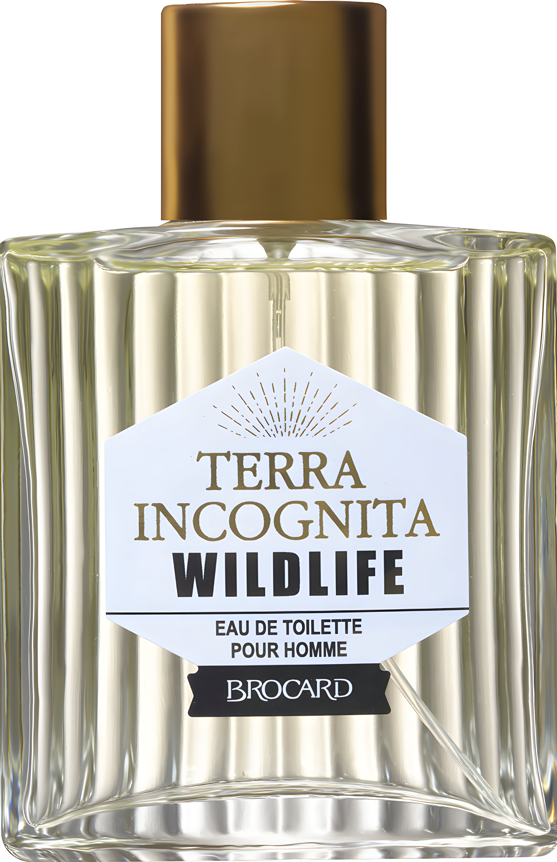 Picture of Terra Incognita Wild Life fragrance