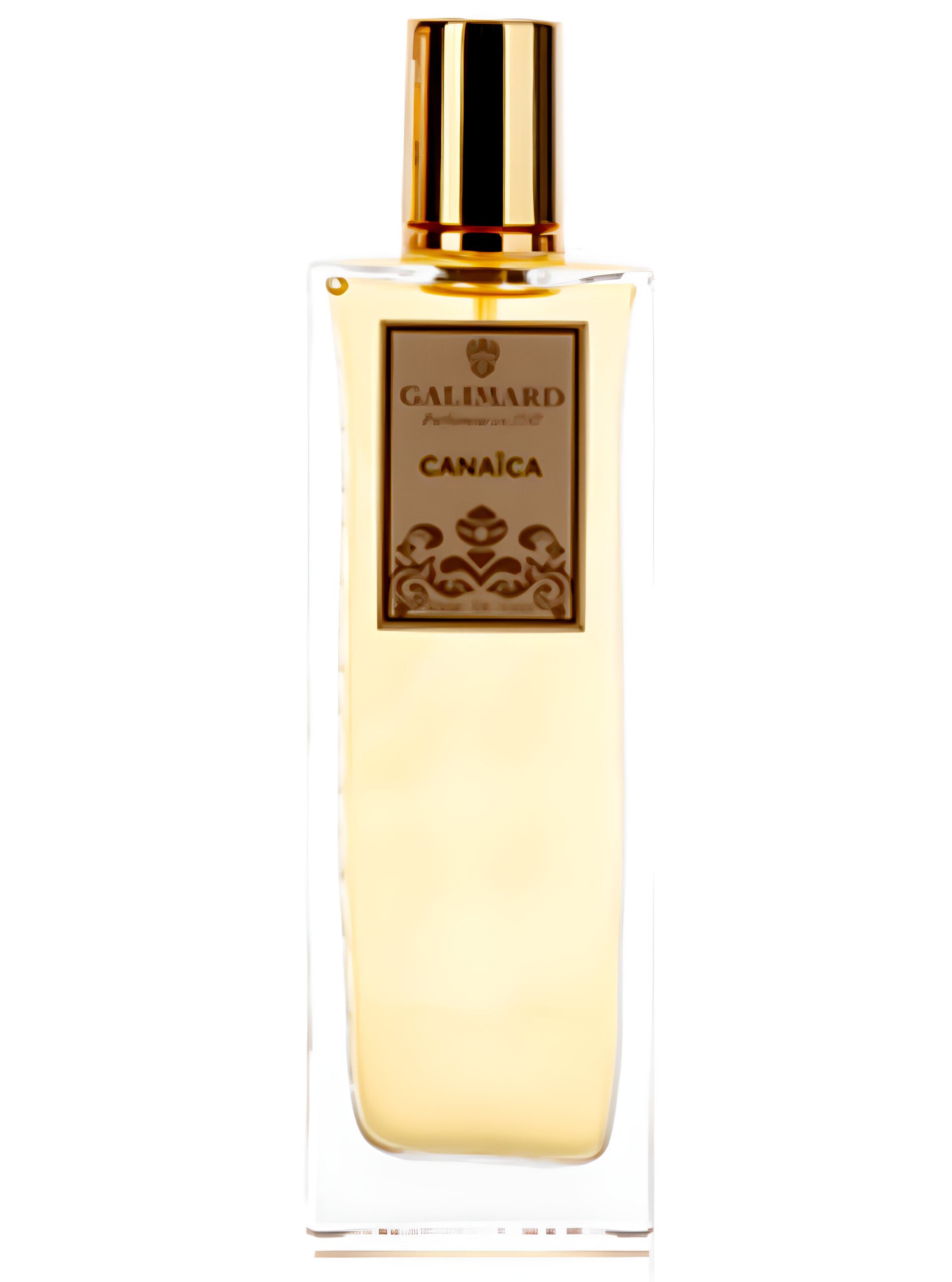 Picture of Canaica fragrance