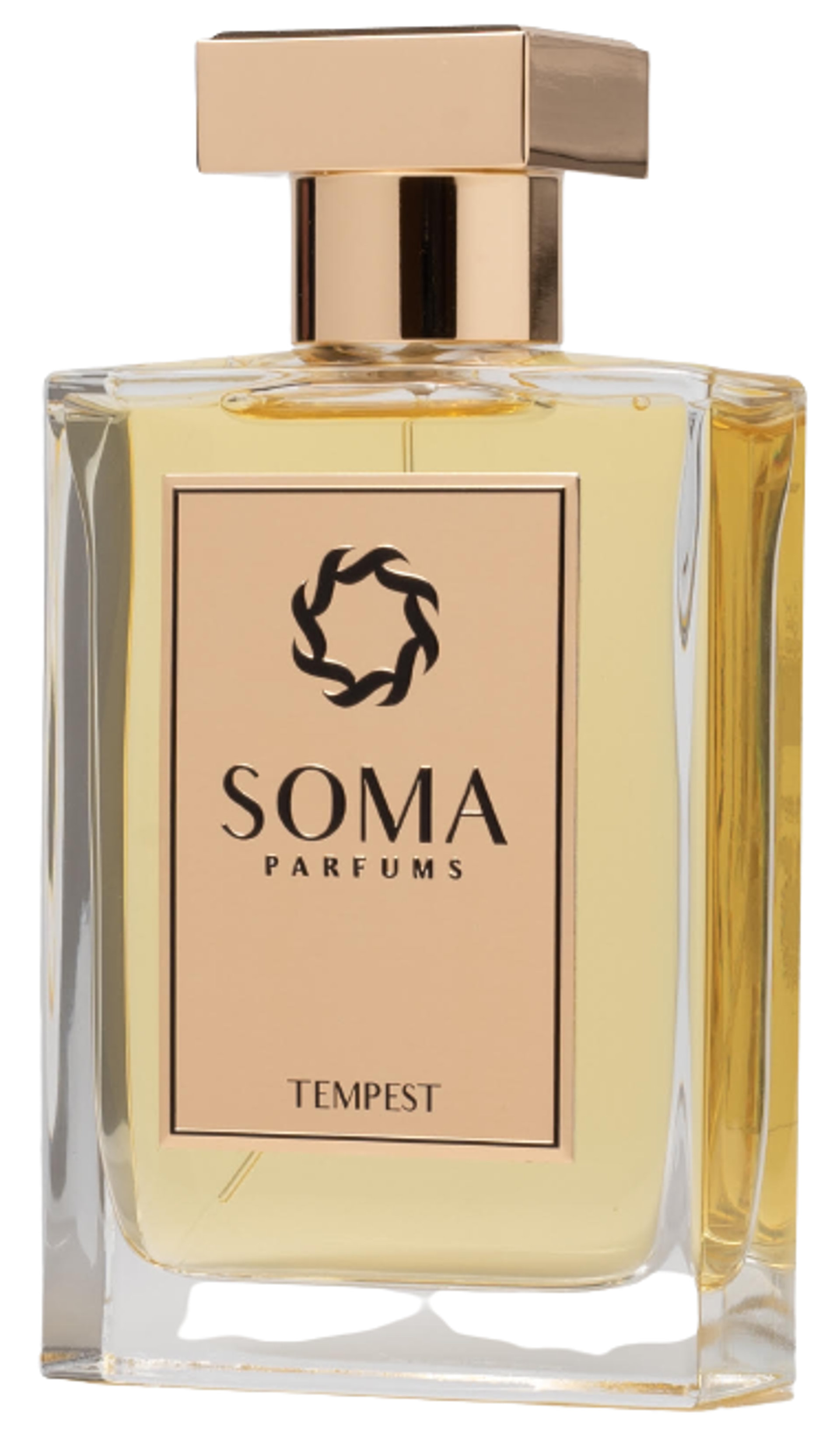 Picture of Tempest fragrance