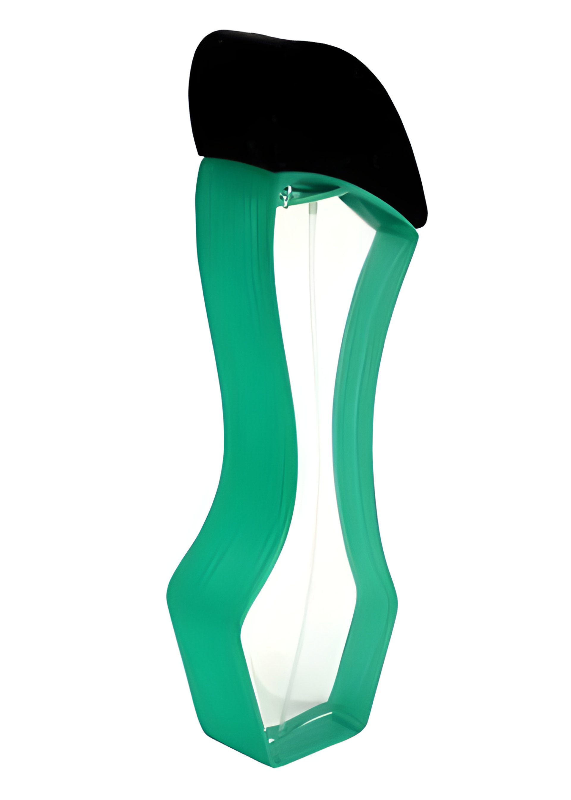 Picture of Lagerfeld Femme fragrance