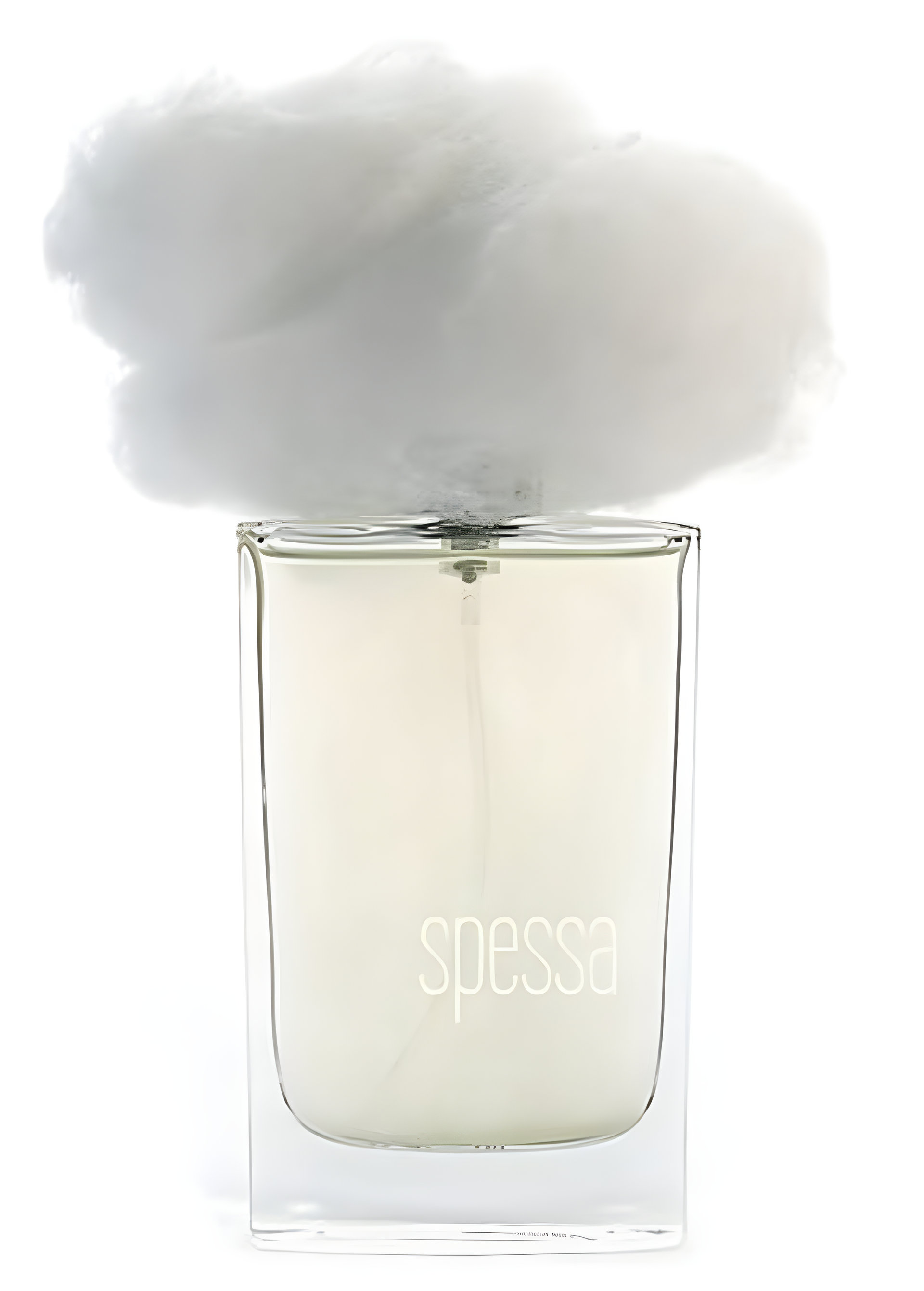 Picture of Nebbia Spessa fragrance