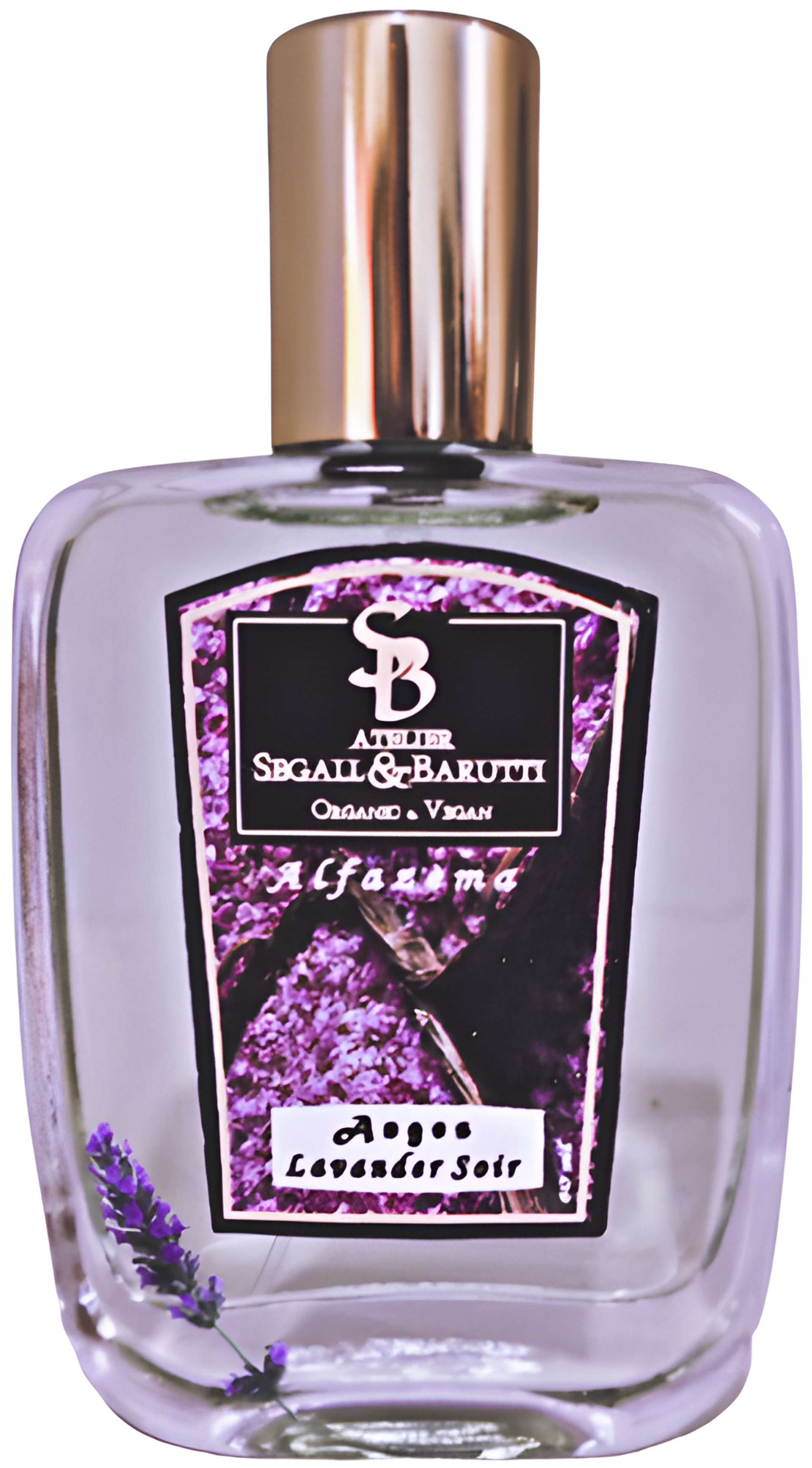 Picture of Anges Lavander Soir fragrance