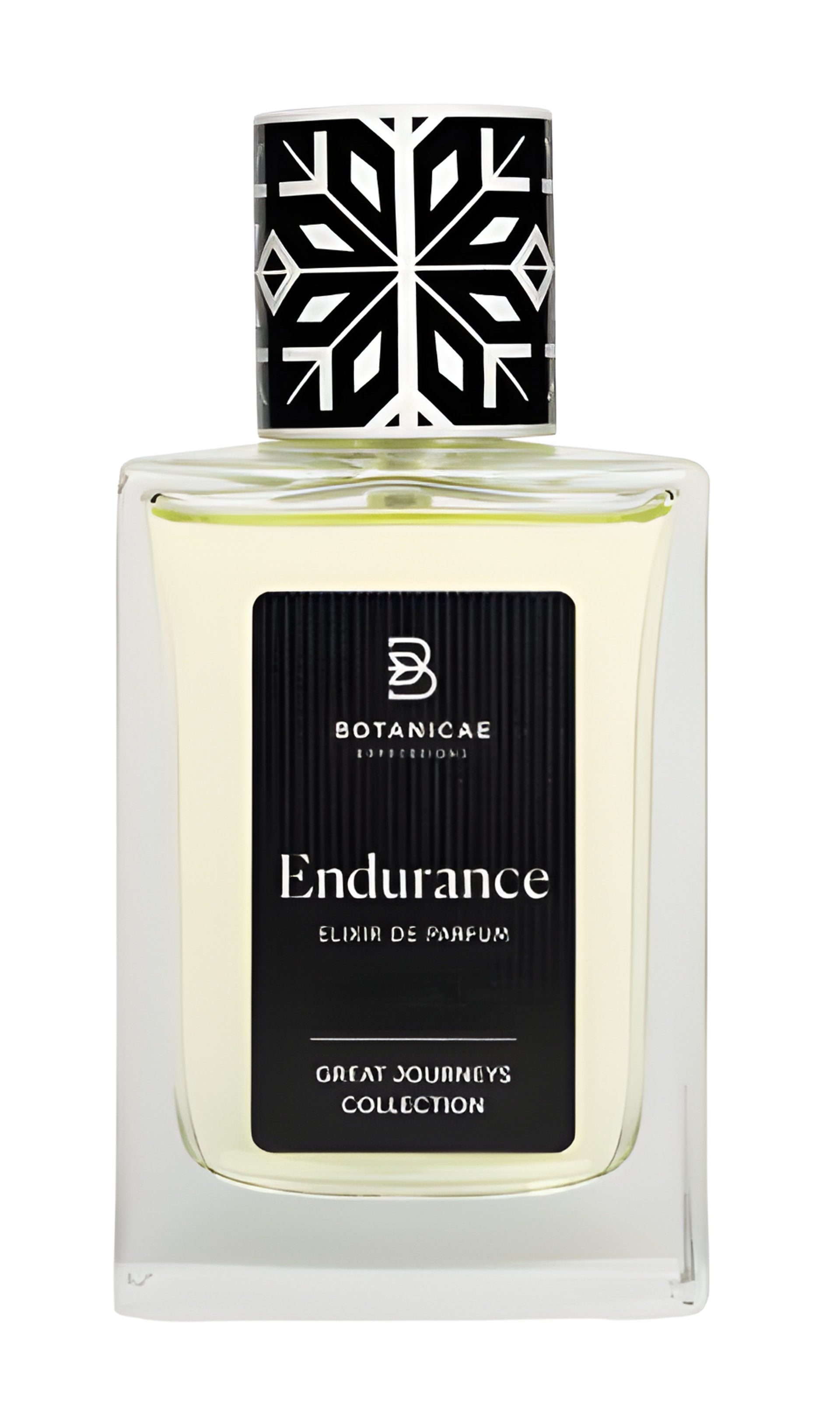 Picture of Endurance fragrance