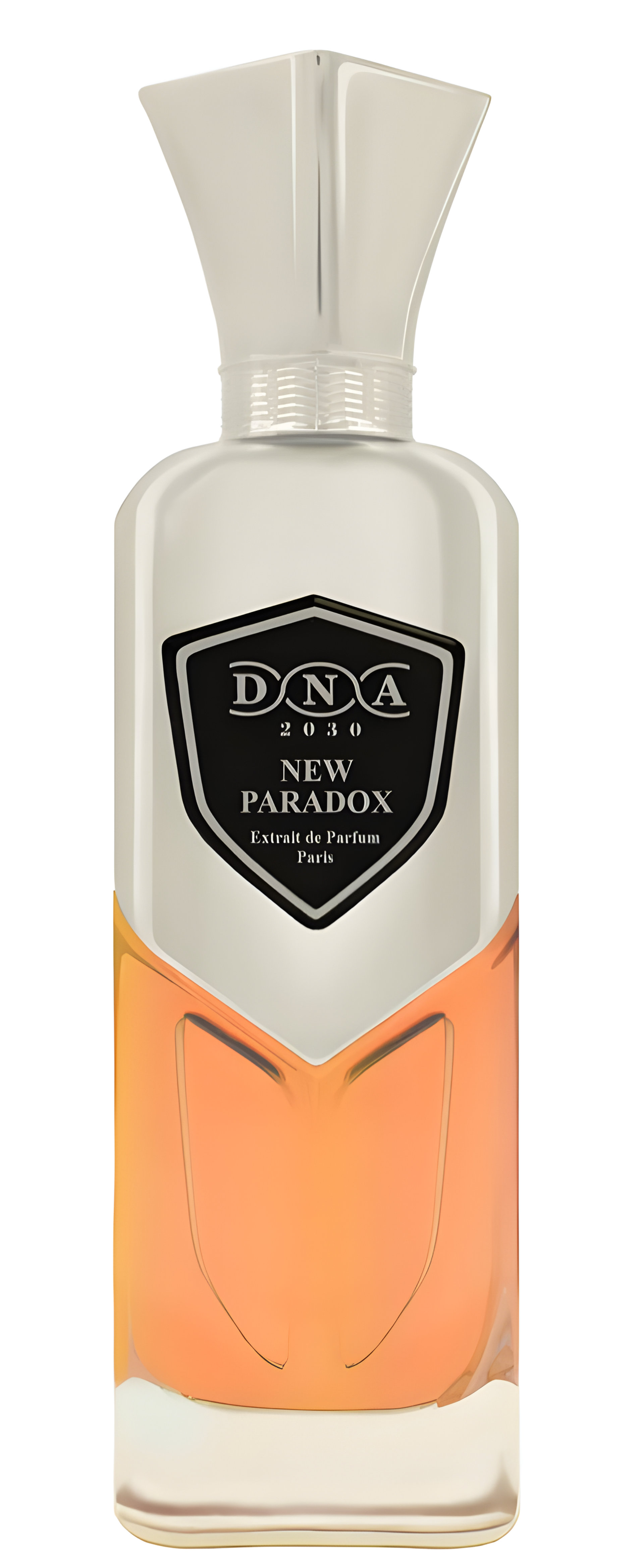 Picture of New Paradox fragrance