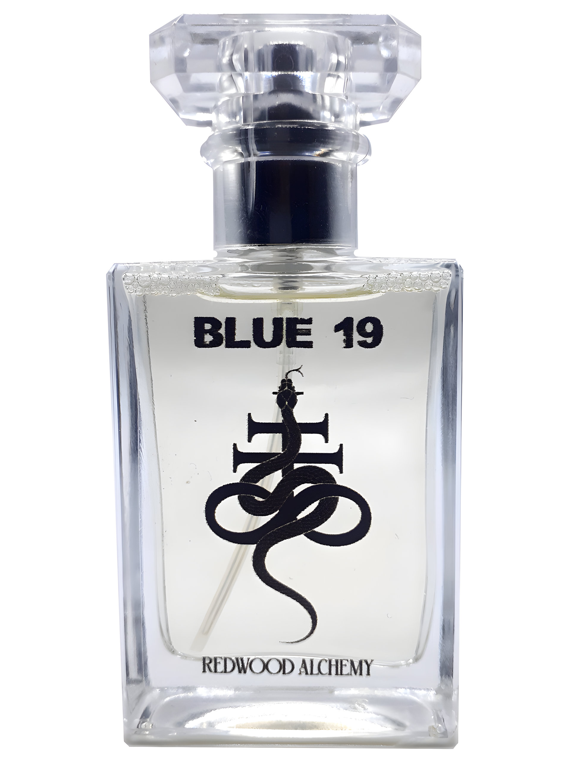 Picture of Blue 19 fragrance