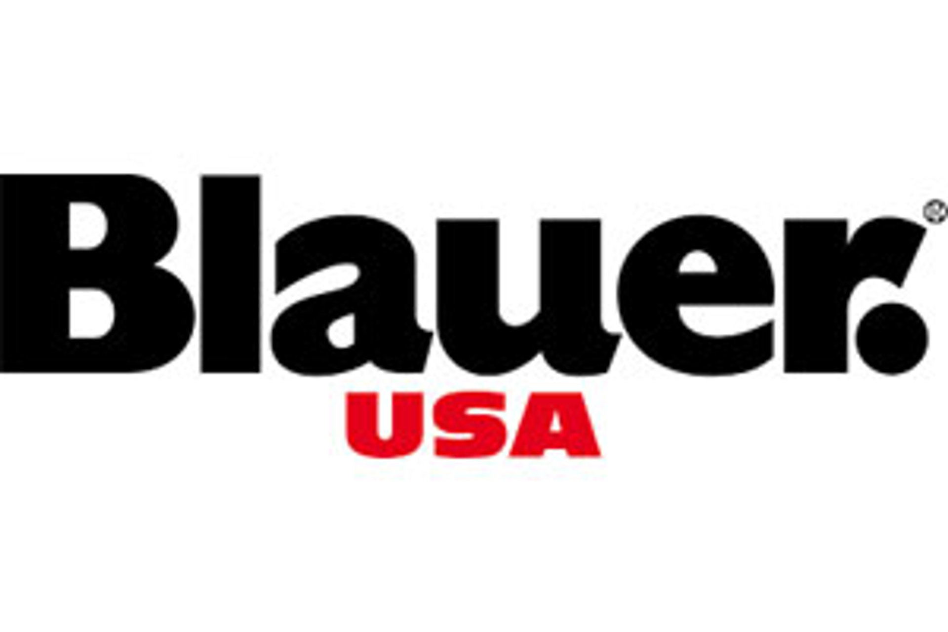 Picture of Blauer brand
