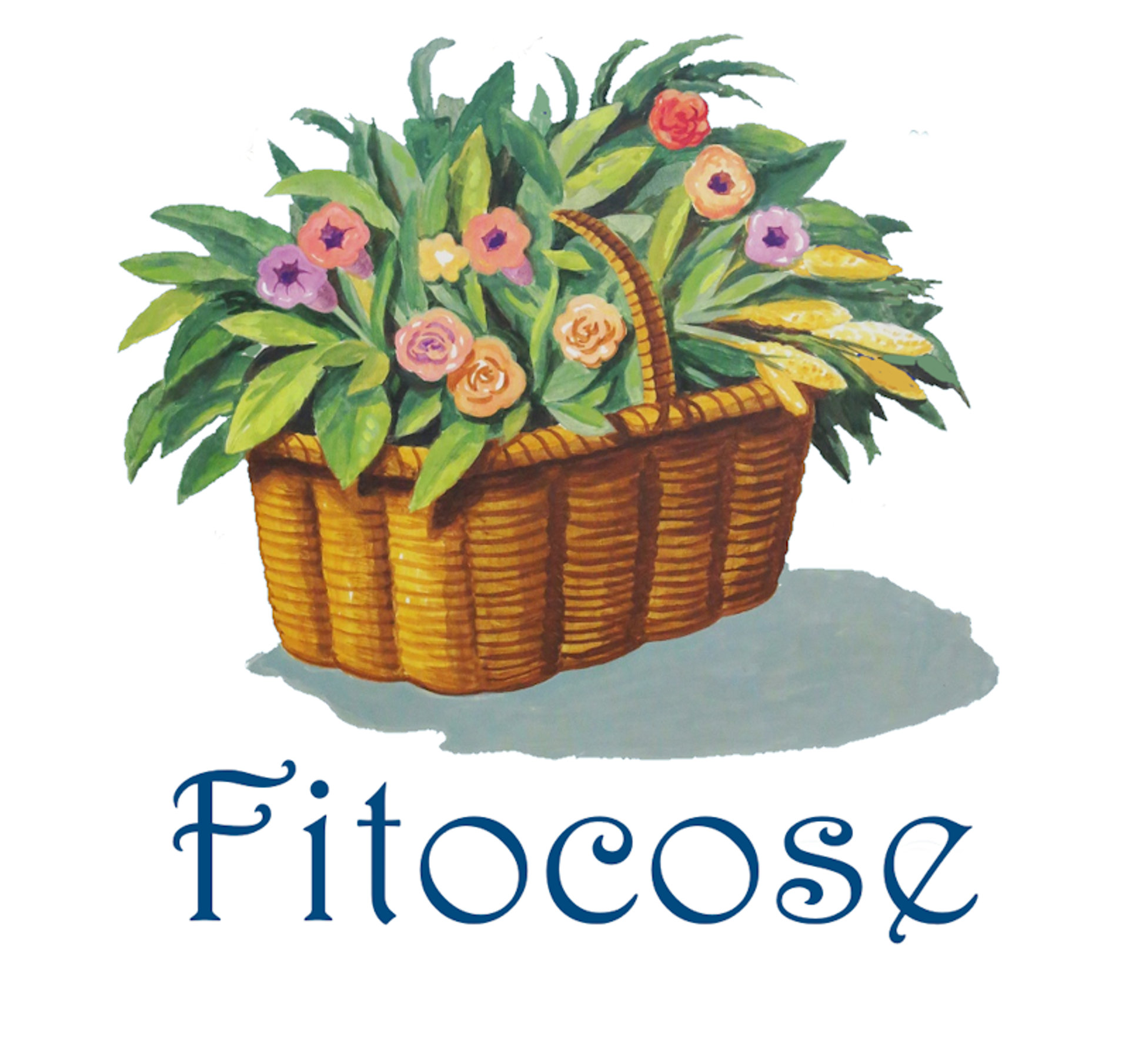 Picture of Fitocose brand