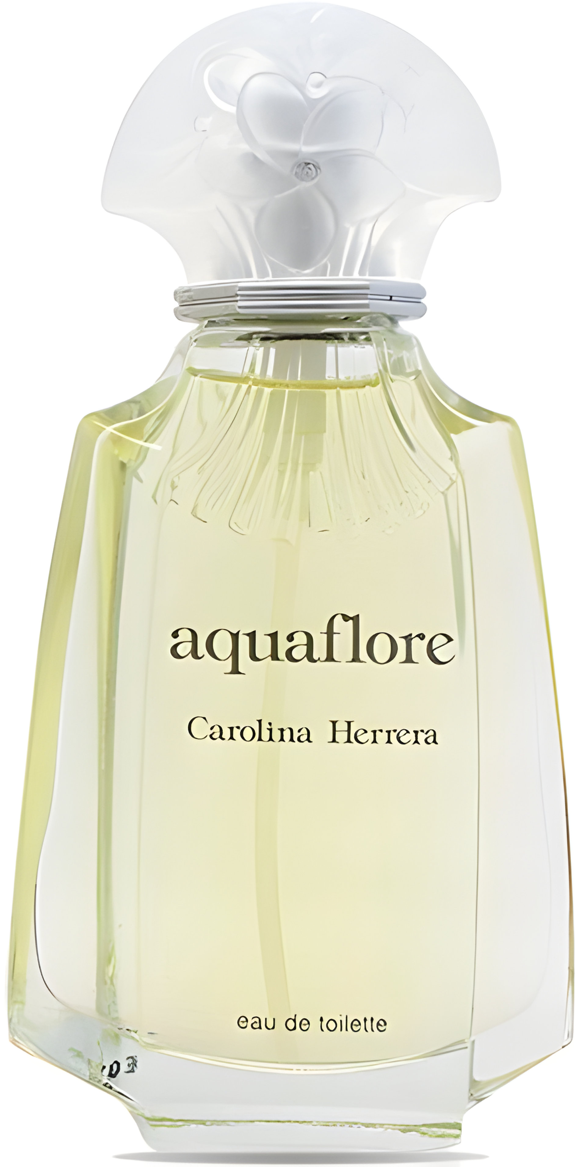 Picture of AquaFlore fragrance