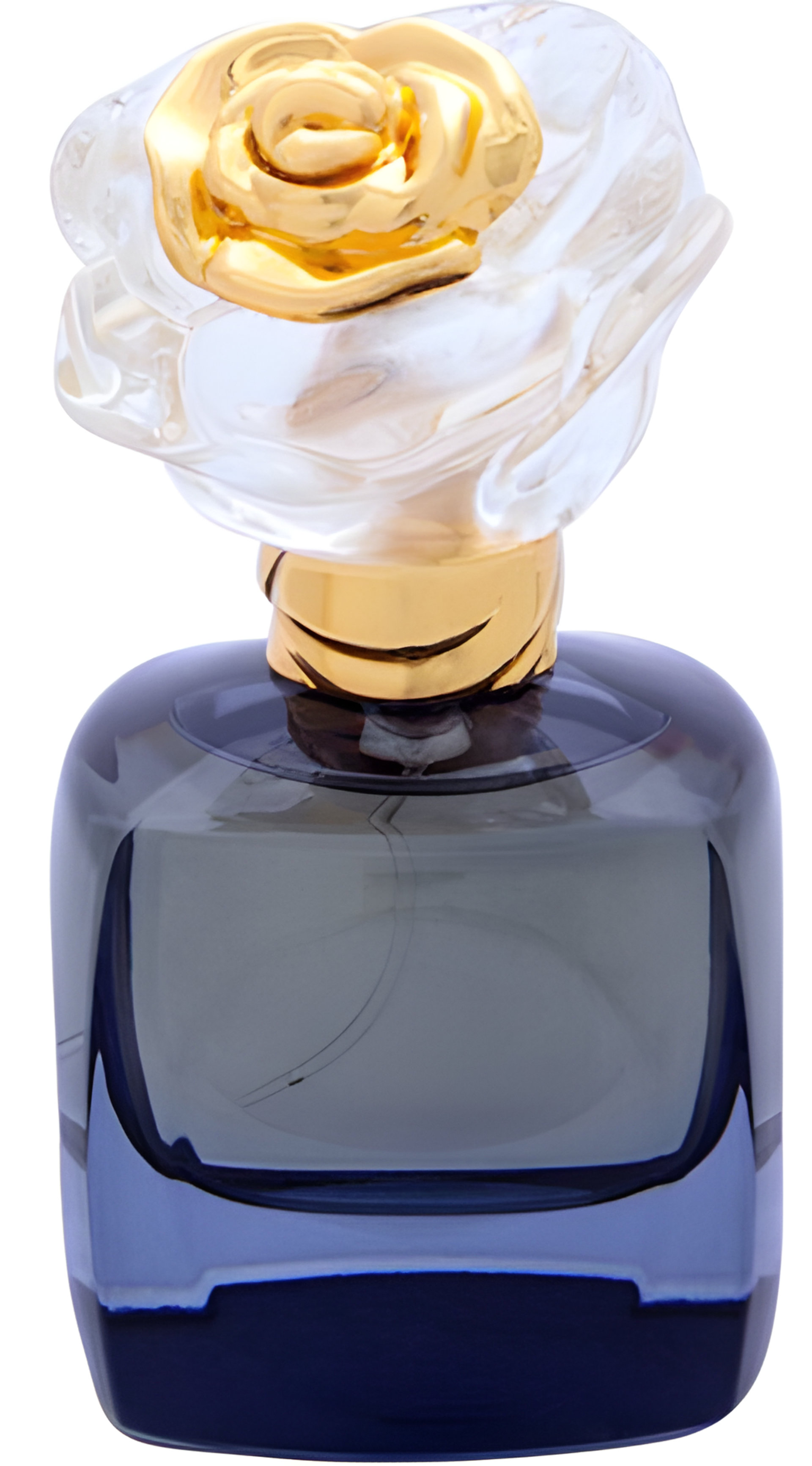 Picture of Passionate Wisdom fragrance