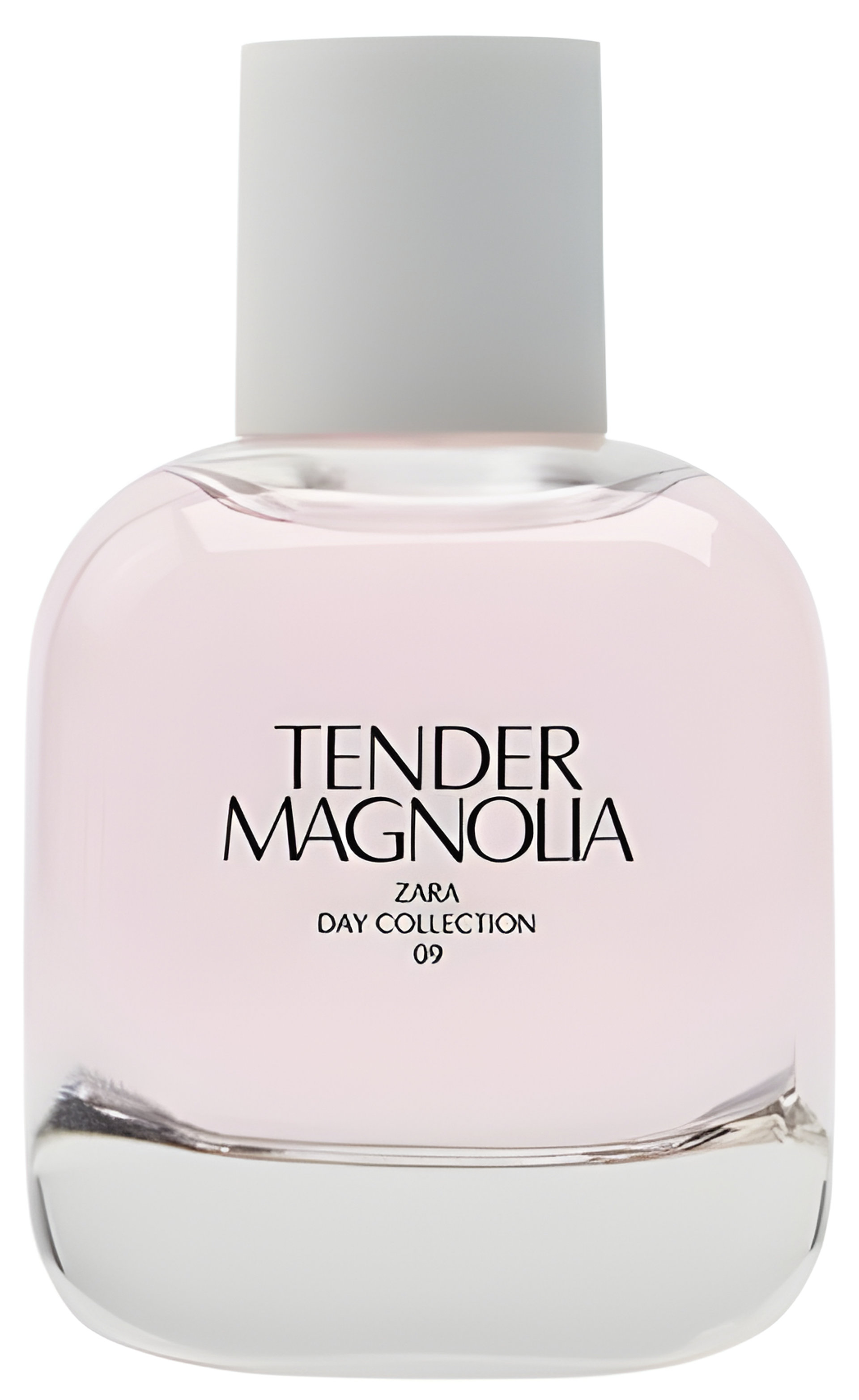 Picture of Tender Magnolia fragrance
