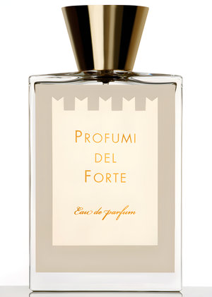 Vetiver Moderno by Profumi del Forte perfume bottle