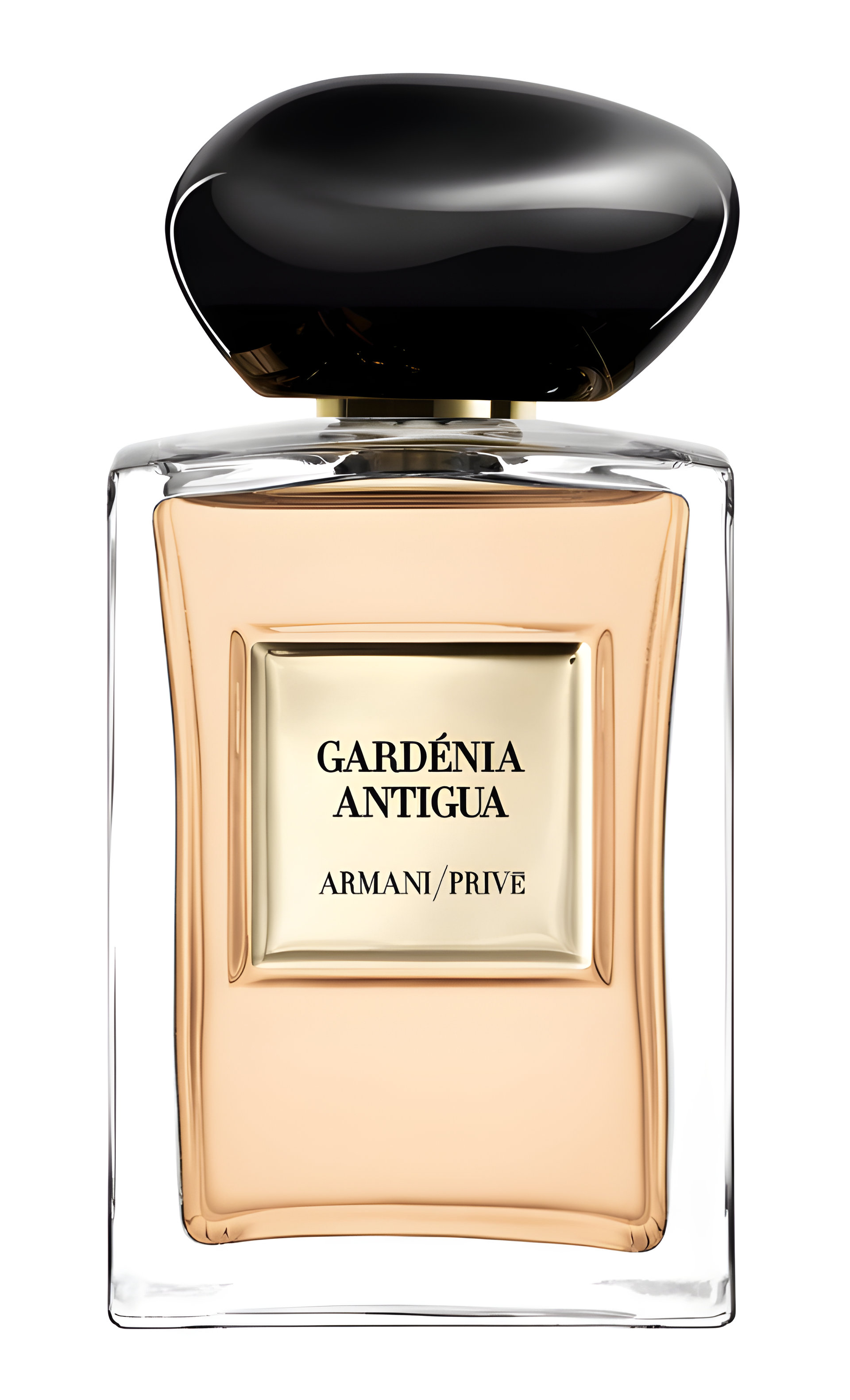 Picture of Gardénia Antigua fragrance