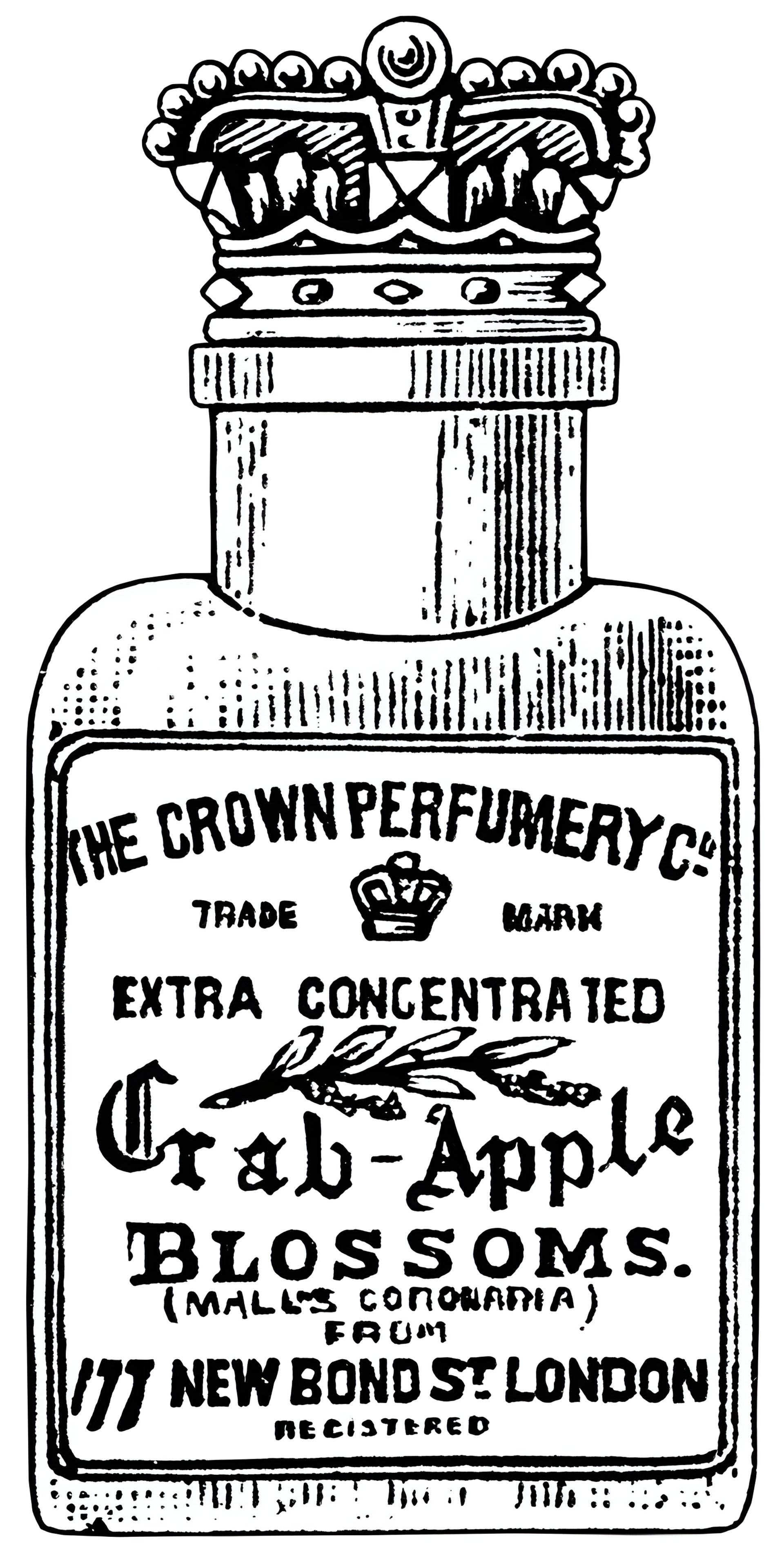 Picture of Crab Apple Blossoms fragrance