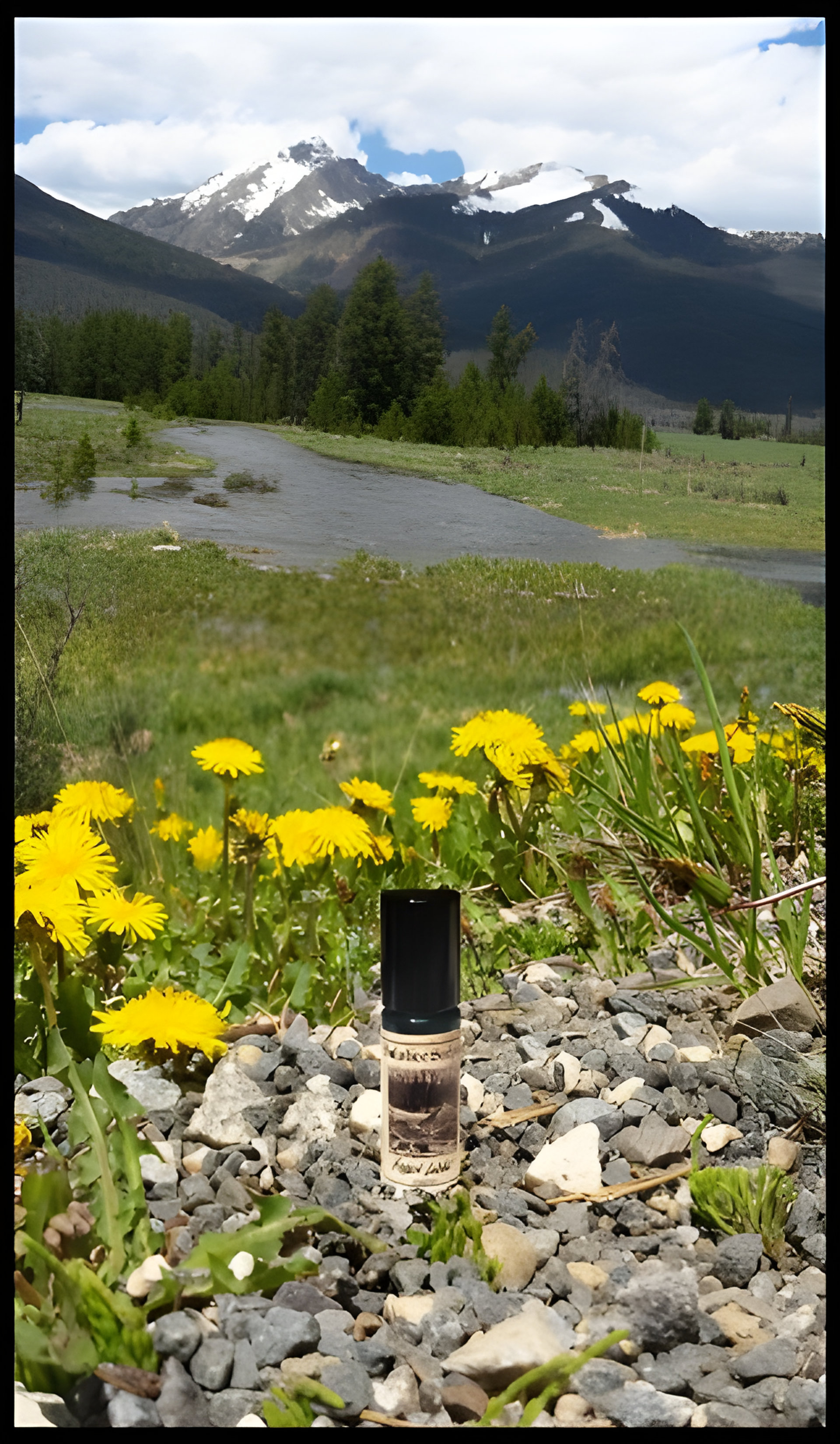 Picture of Hidden Lodge fragrance