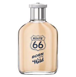 Born to Be Wild by Route 66 perfume bottle