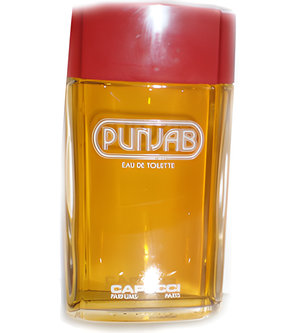 Punjab by Roberto Capucci perfume bottle
