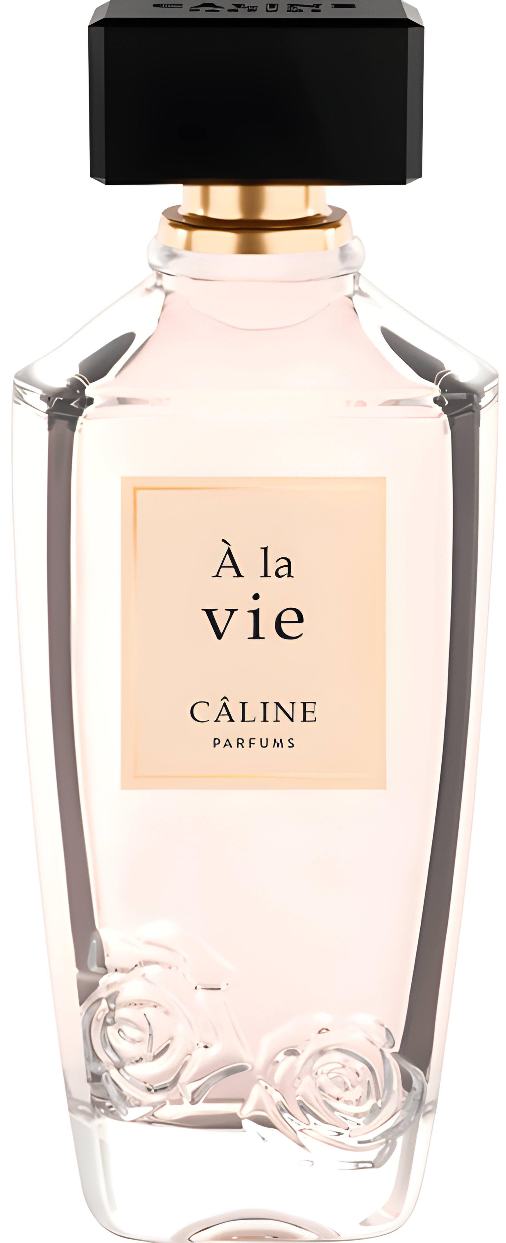 Picture of À La Vie fragrance