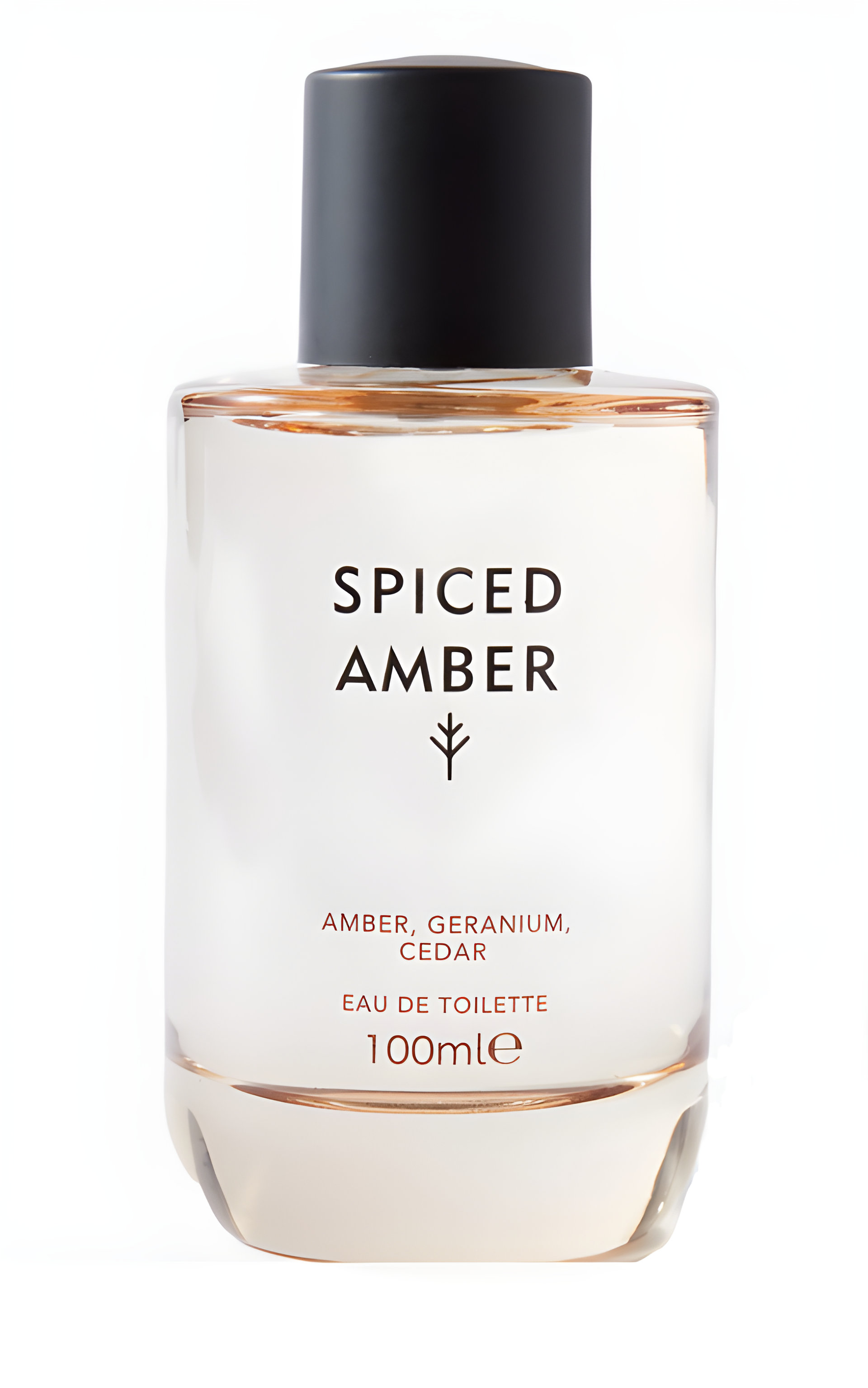 Picture of Spiced Amber fragrance