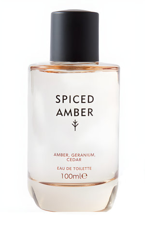 Picture of Spiced Amber fragrance