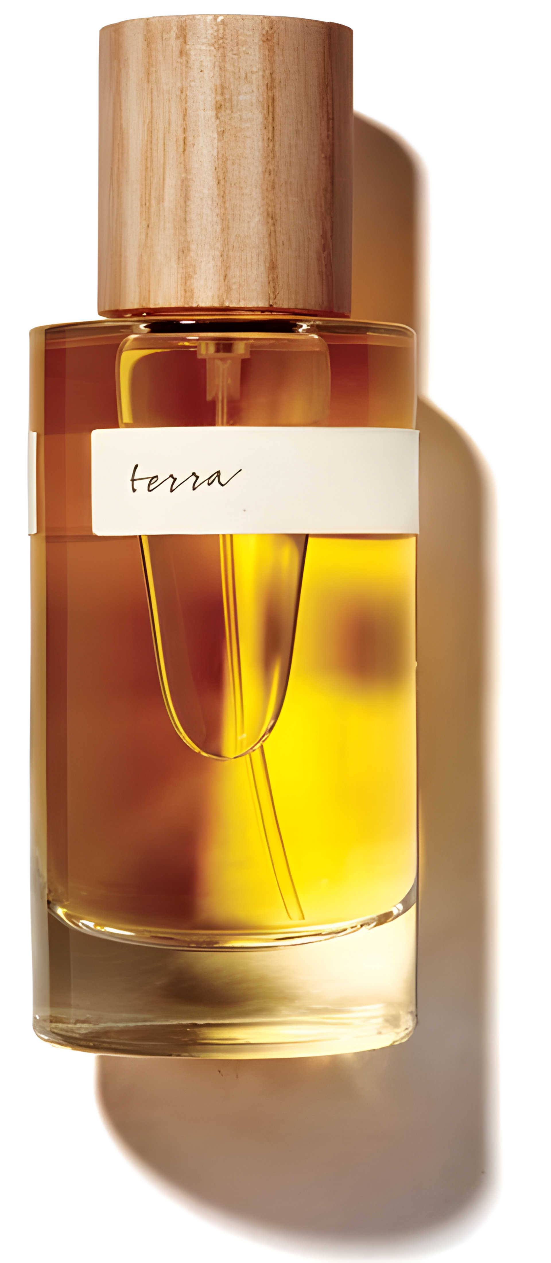 Picture of Collages Terra fragrance