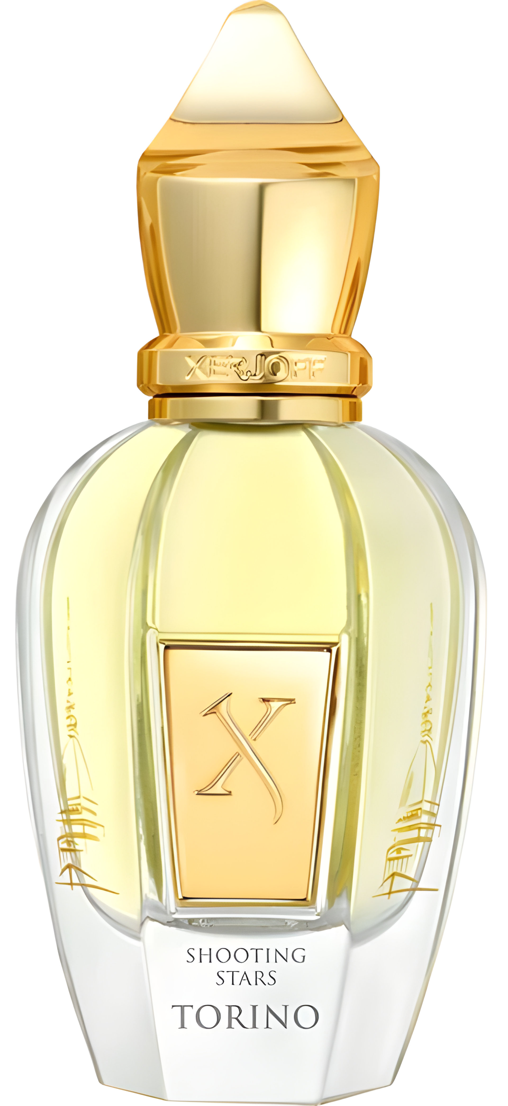 Picture of Torino fragrance