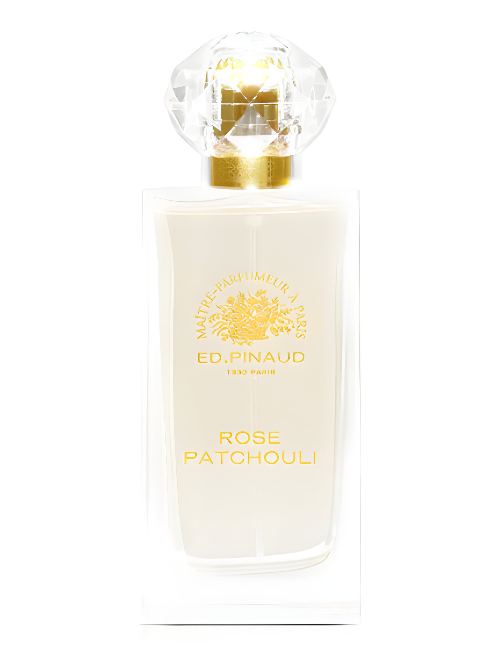 Picture of Rose Patchouli fragrance