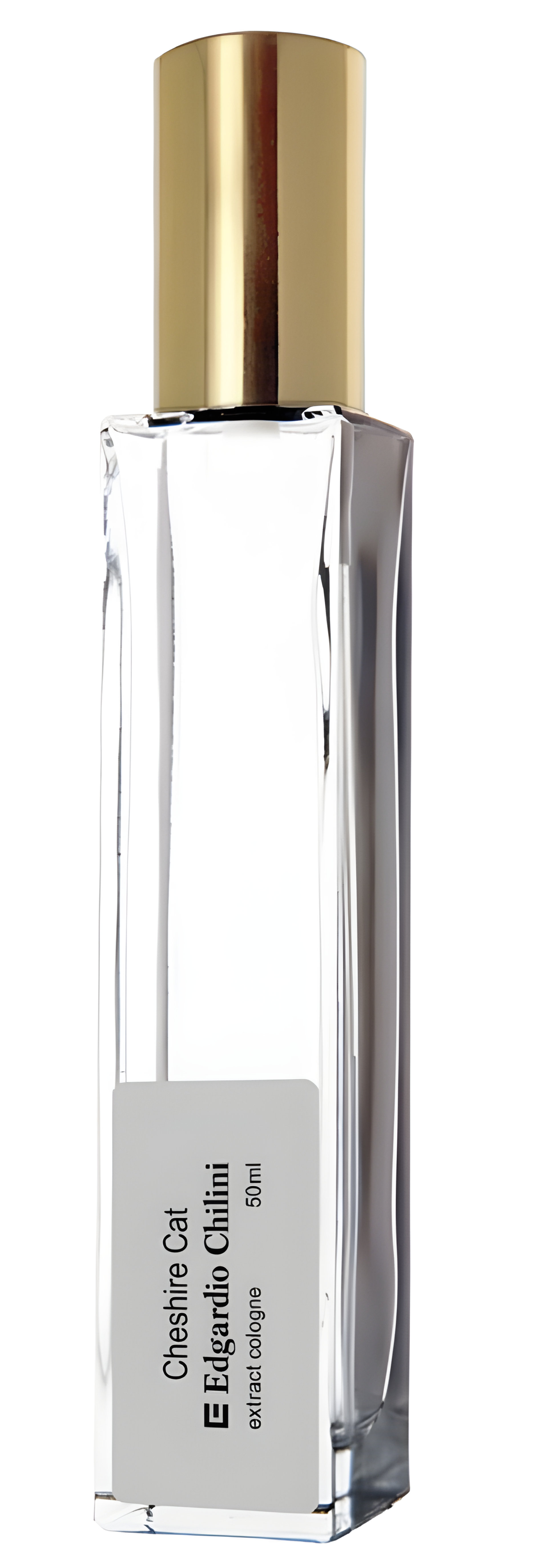 Cheshire Cat by Edgardio Chilini