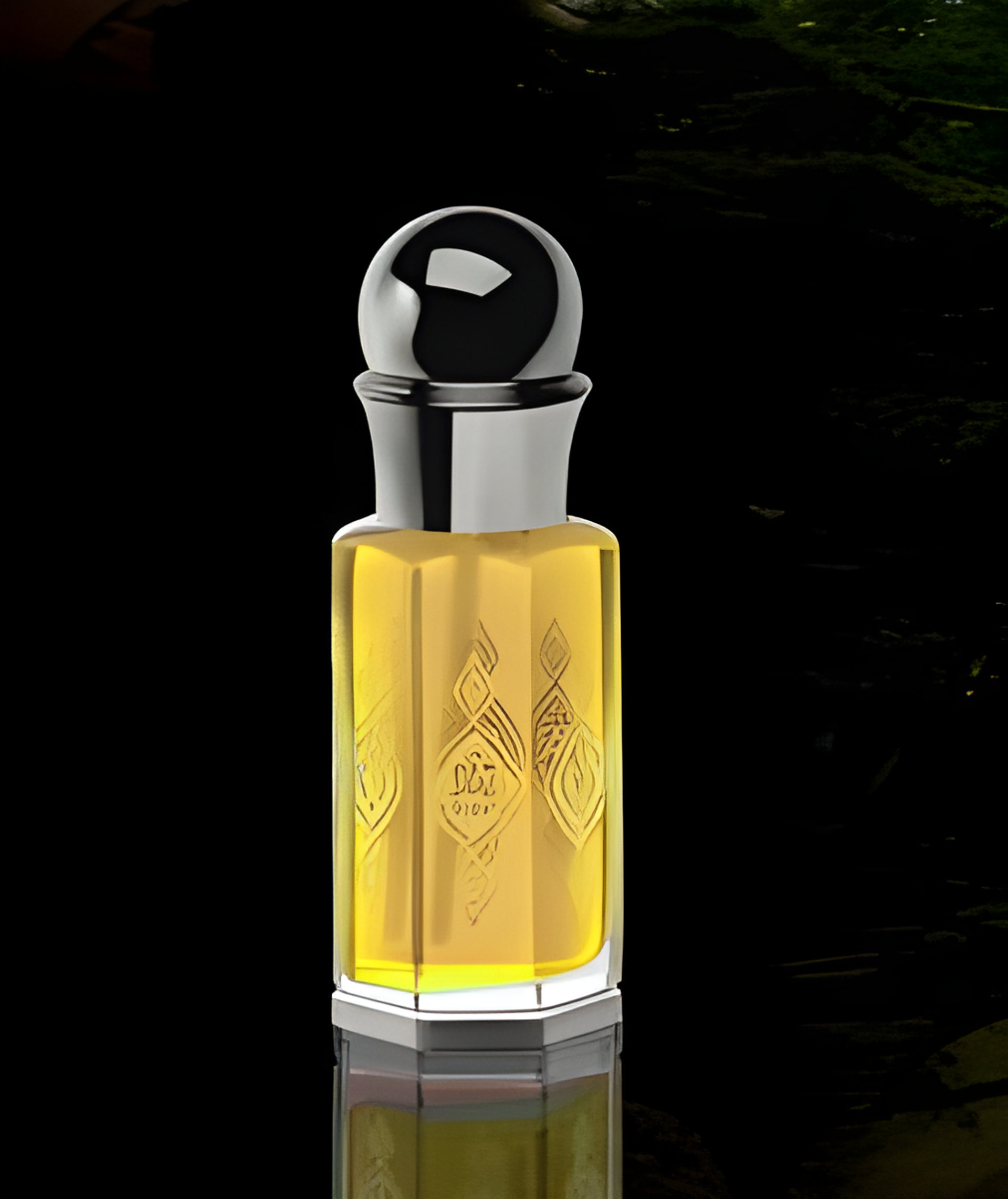 Picture of Lebanon Cedar fragrance