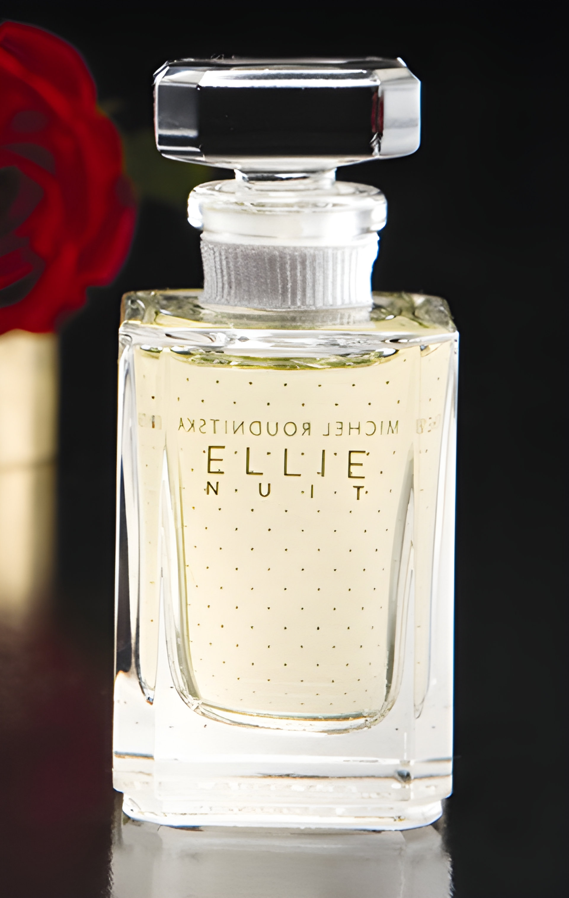 Picture of Ellie Nuit fragrance