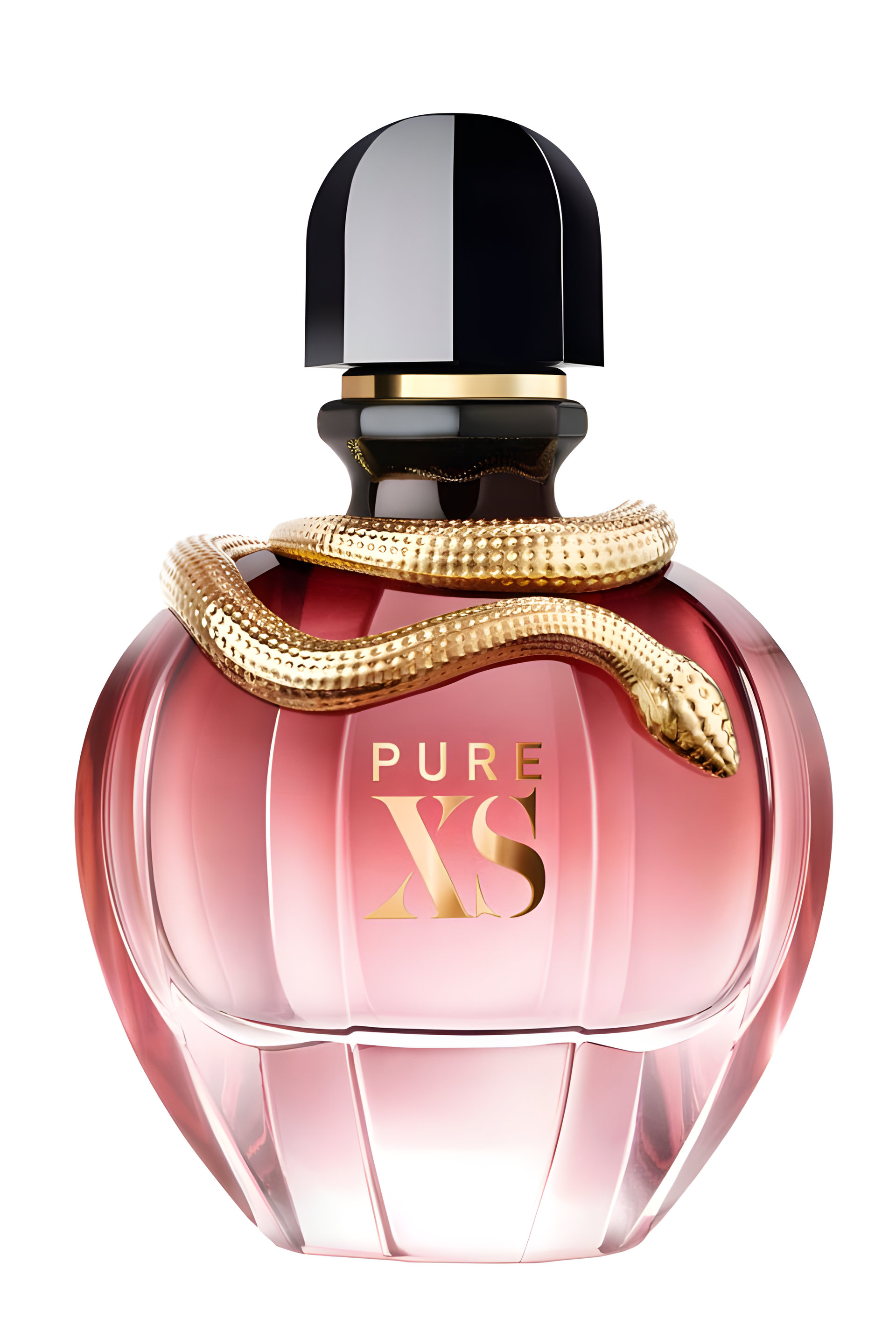 Picture of Pure XS for Her fragrance