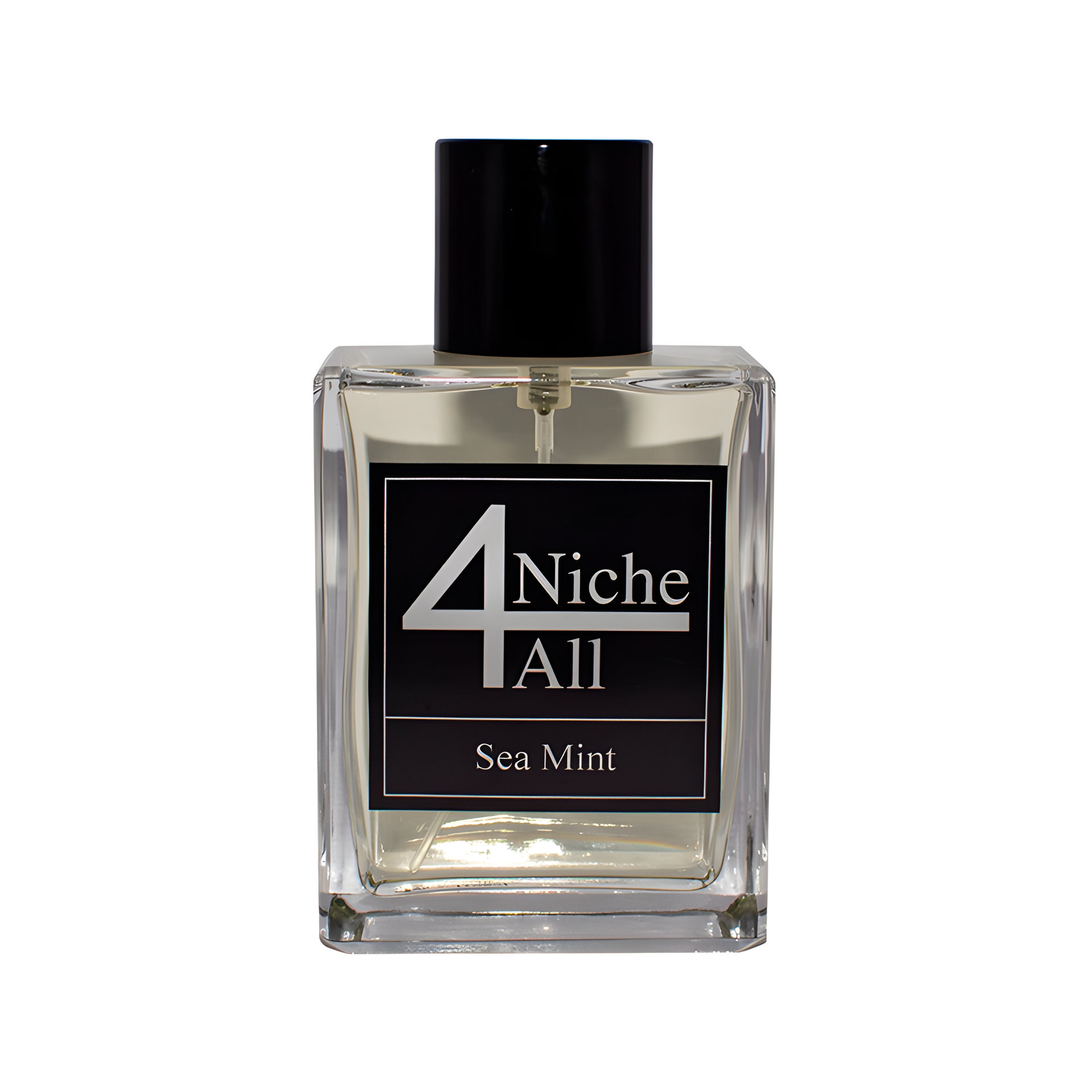 Picture of Sea Mint fragrance