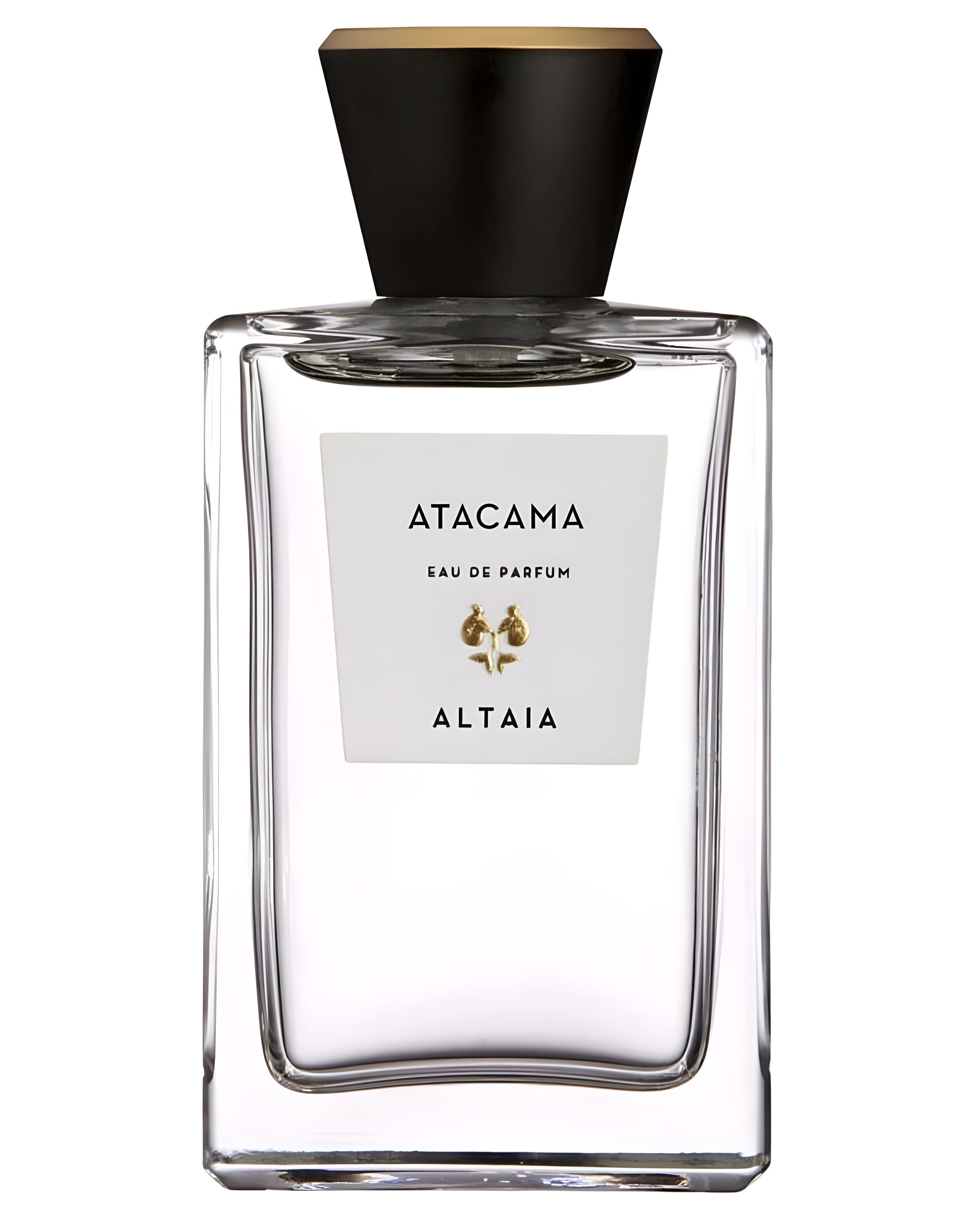 Picture of Atacama fragrance