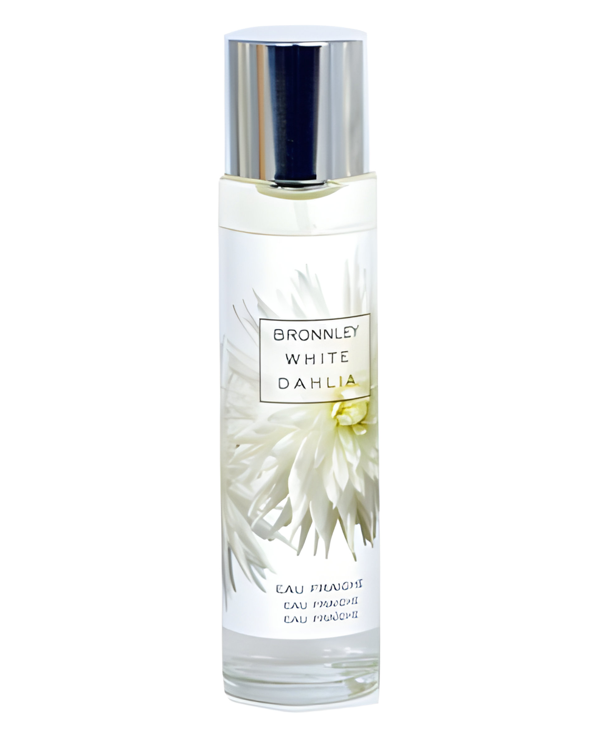 Picture of White Dahlia fragrance