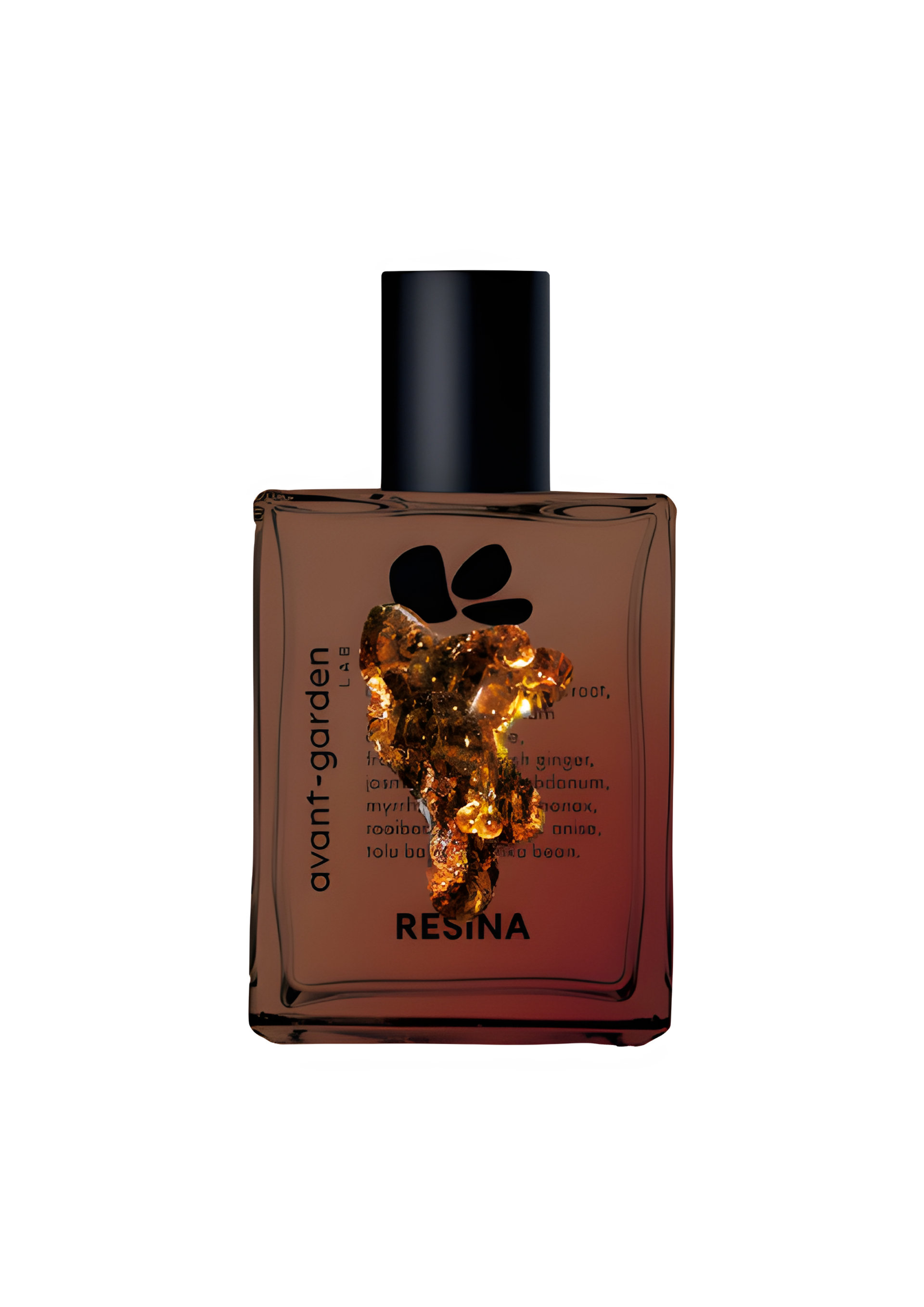 Picture of Resina fragrance