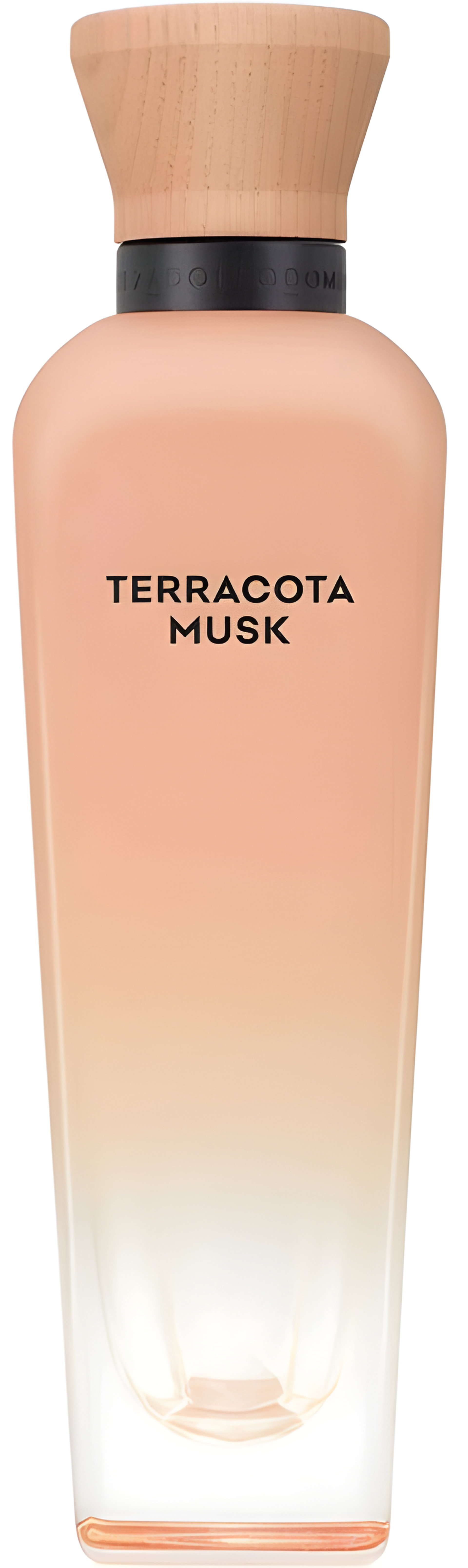 Picture of Terracota Musk fragrance