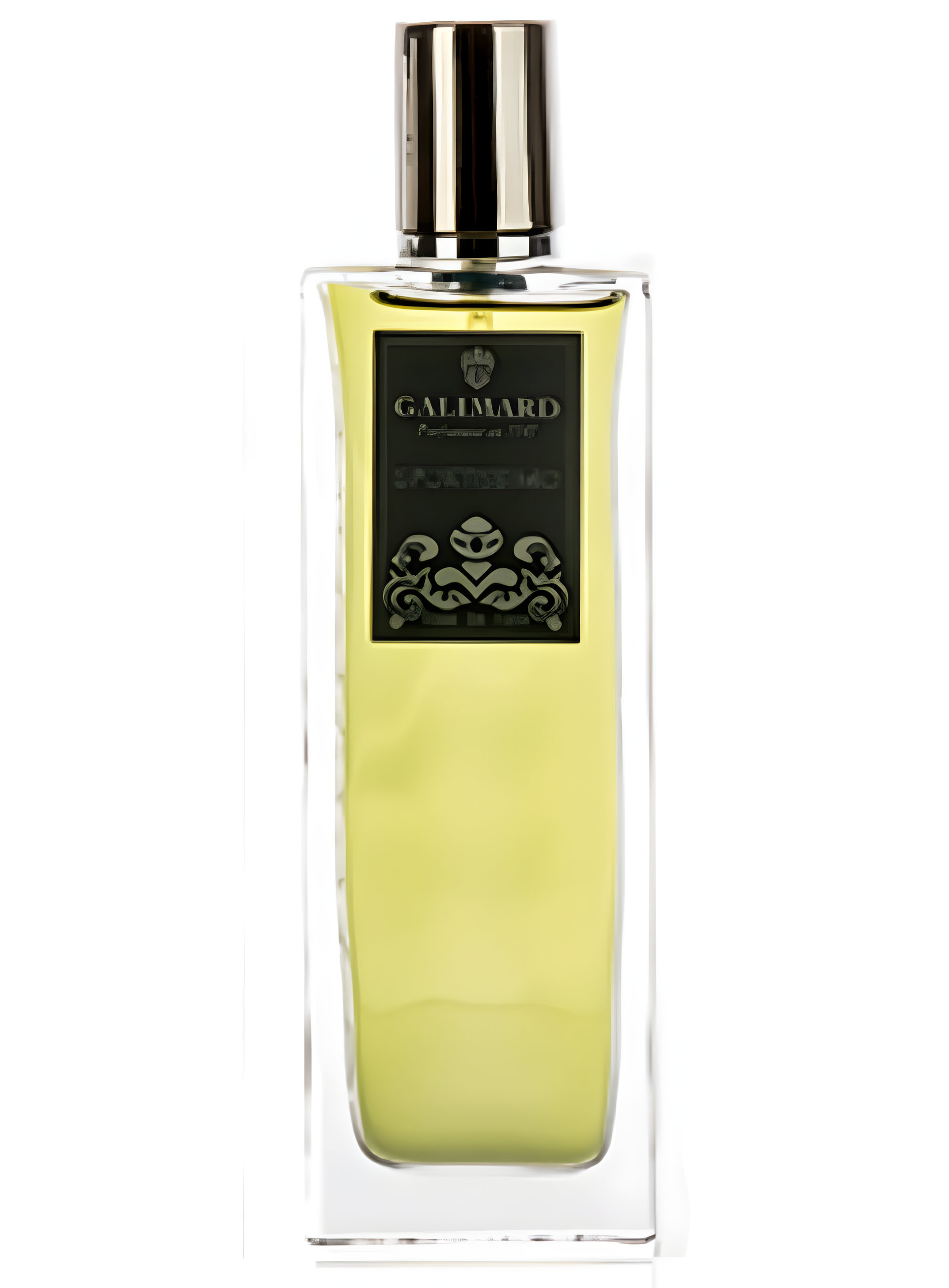 Picture of Sportissimo fragrance