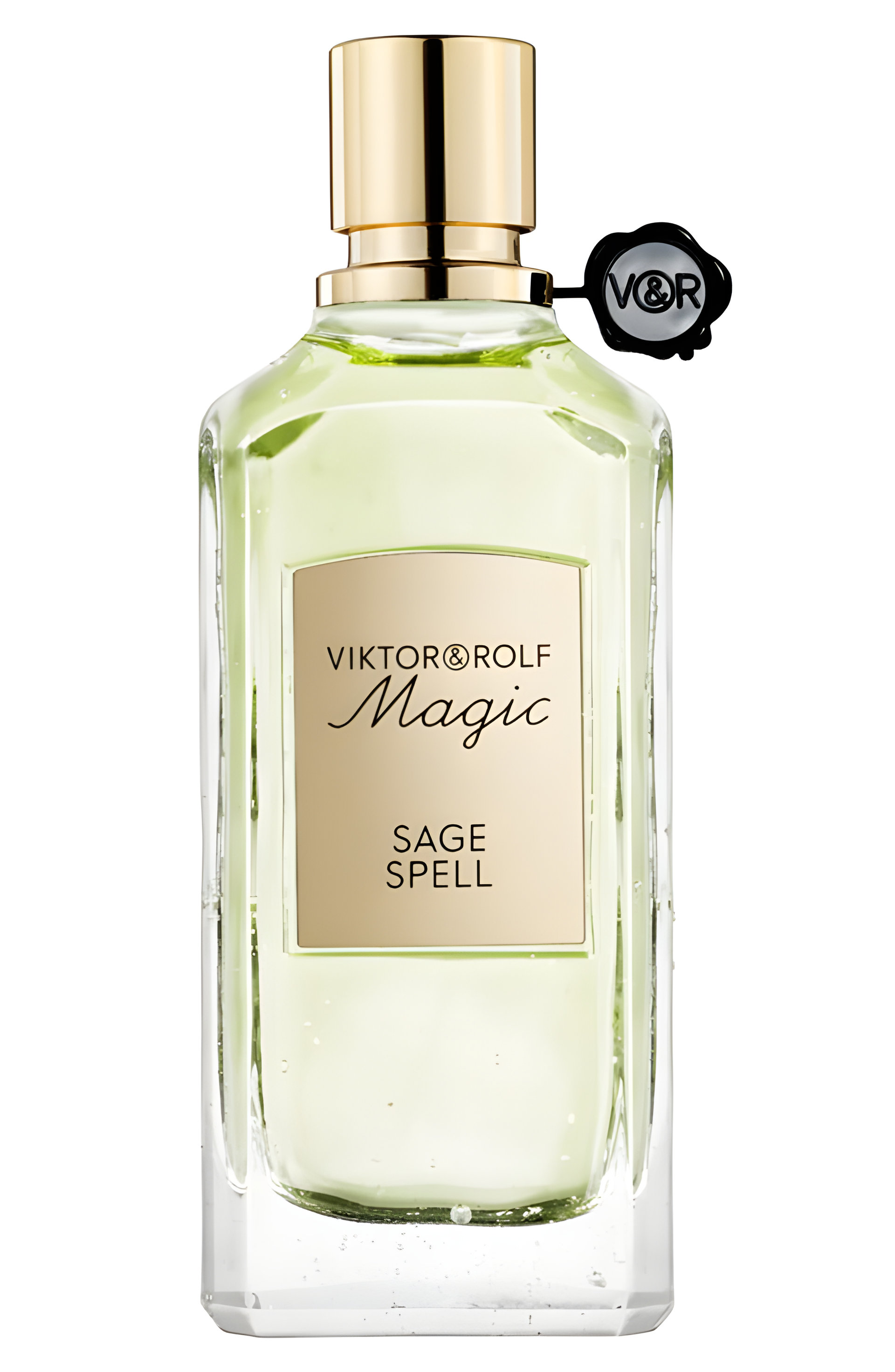 Picture of Sage Spell fragrance
