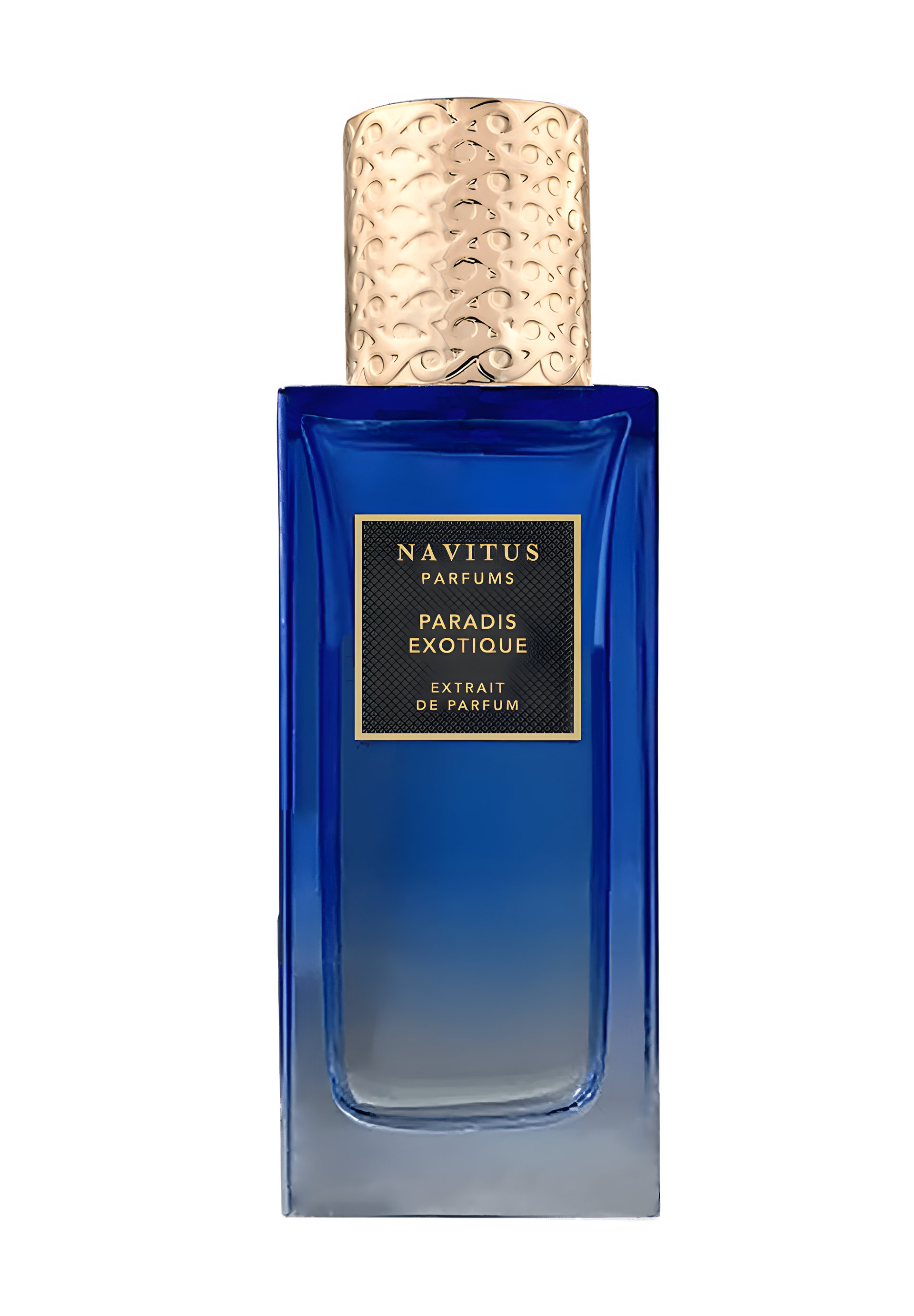 Picture of Paradis Exotique fragrance