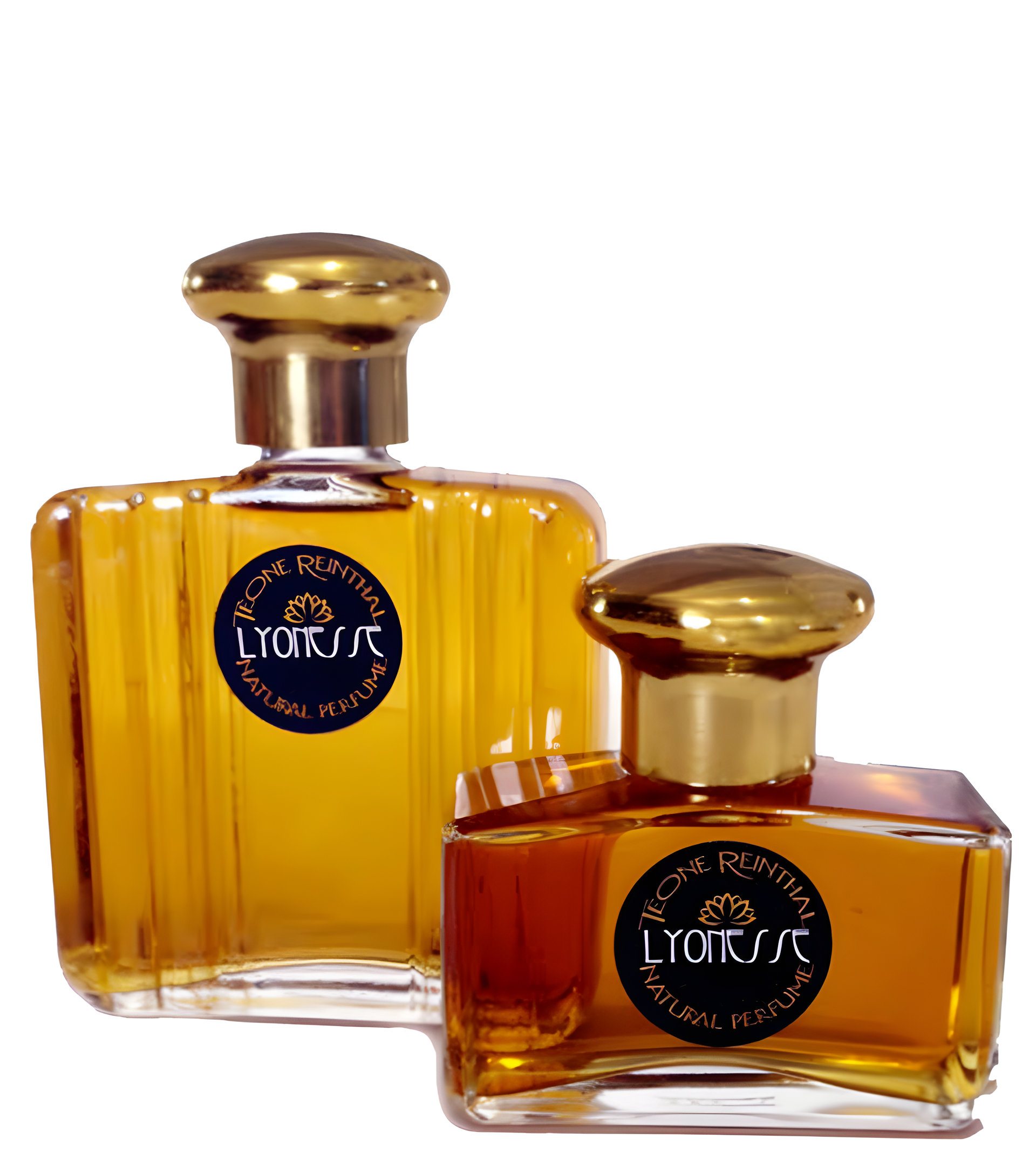 Picture of Lyonesse fragrance