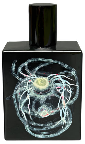 High to Lotus by Space Fluid perfume bottle