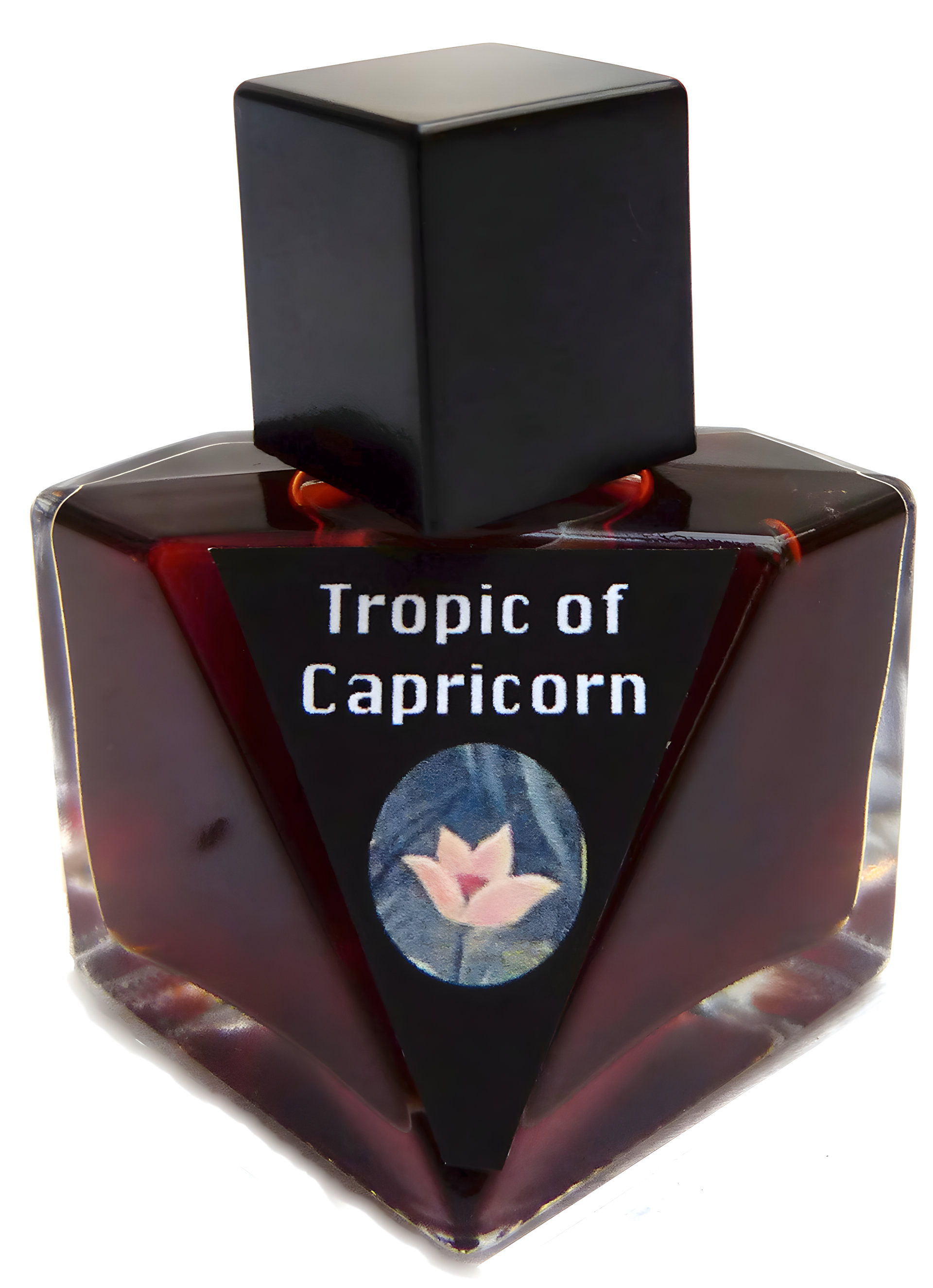 Picture of Tropic of Capricorn fragrance