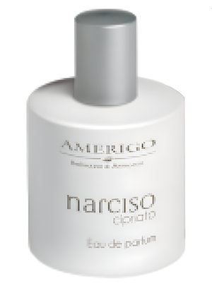 Narciso Cipriato by Amerigo perfume bottle