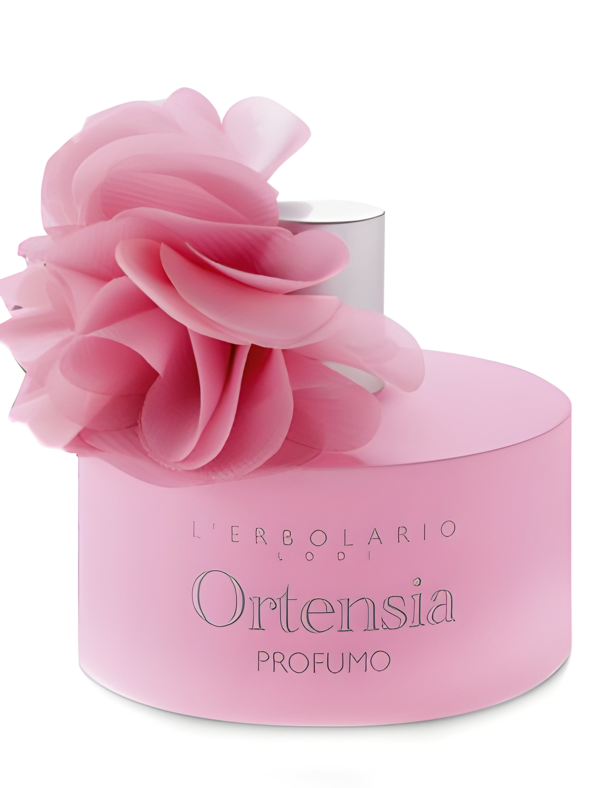 Picture of Ortensia fragrance