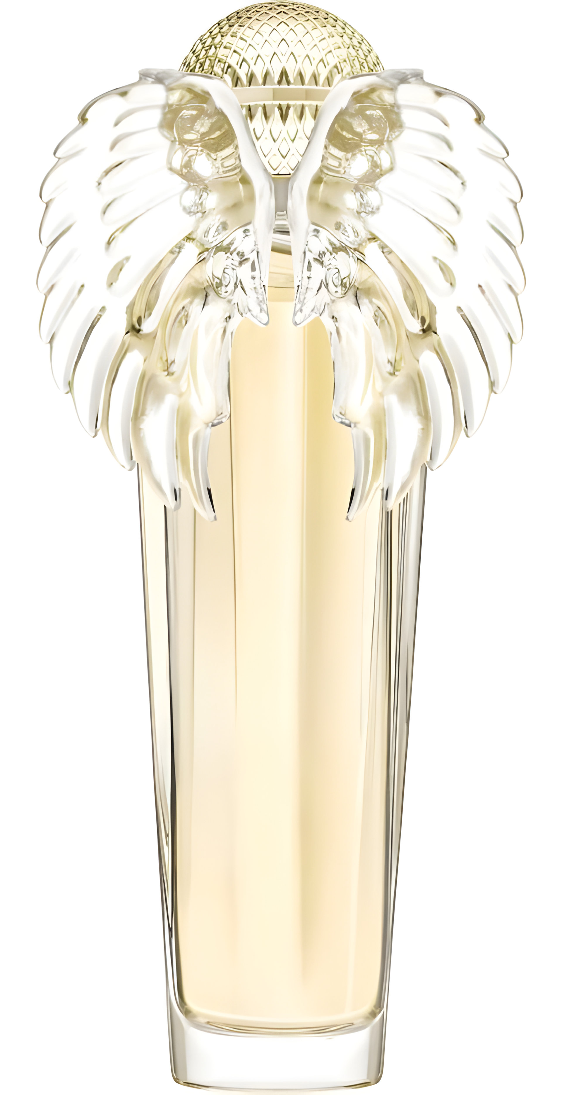 Picture of Golden Dream fragrance